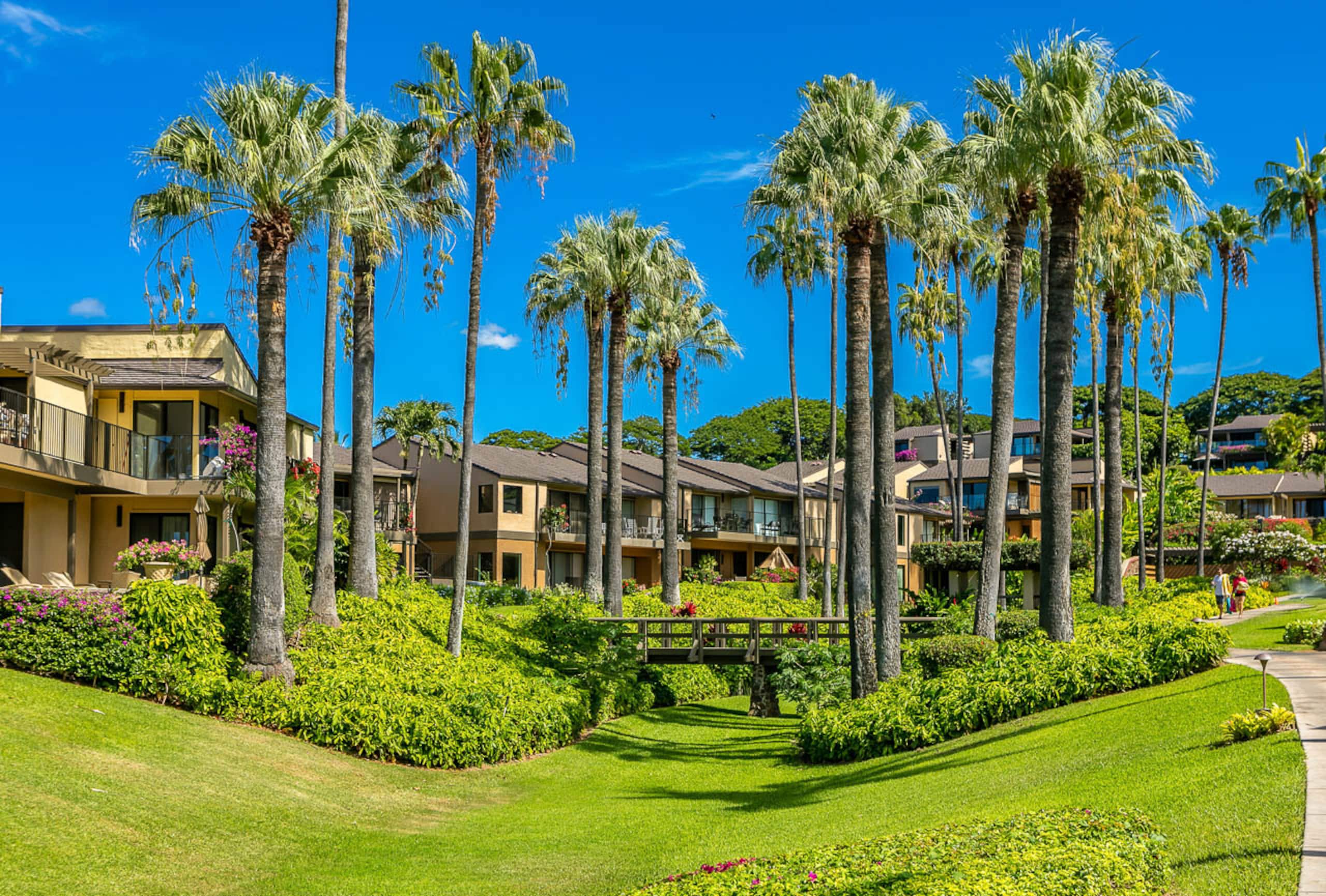 Condo in Kihei · ★4.93 · 2 bedrooms · 3 beds · 2 baths - Image 57