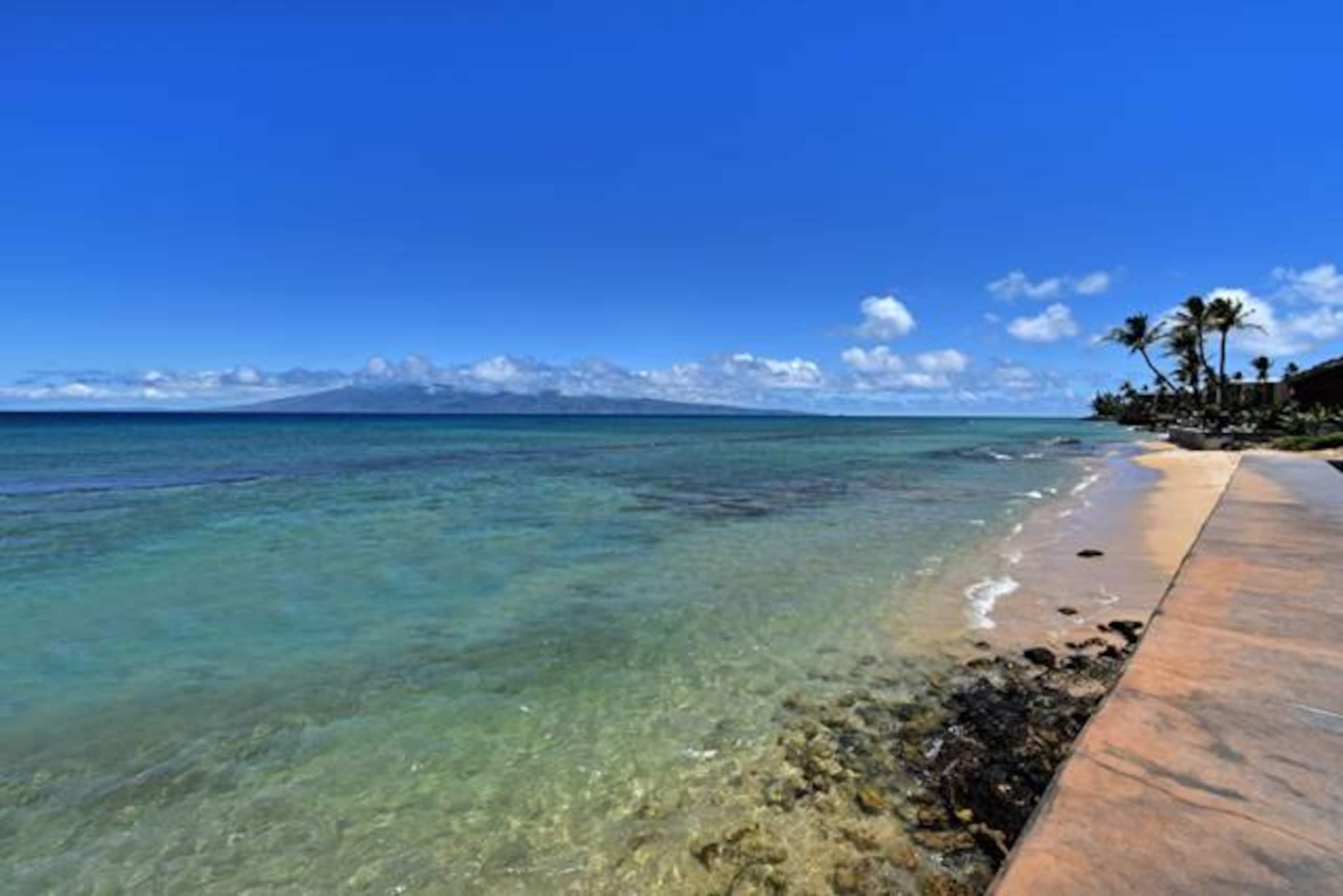 Condo in Lahaina · ★4.76 · 1 bedroom · 2 beds · 1 private bath - Image 24