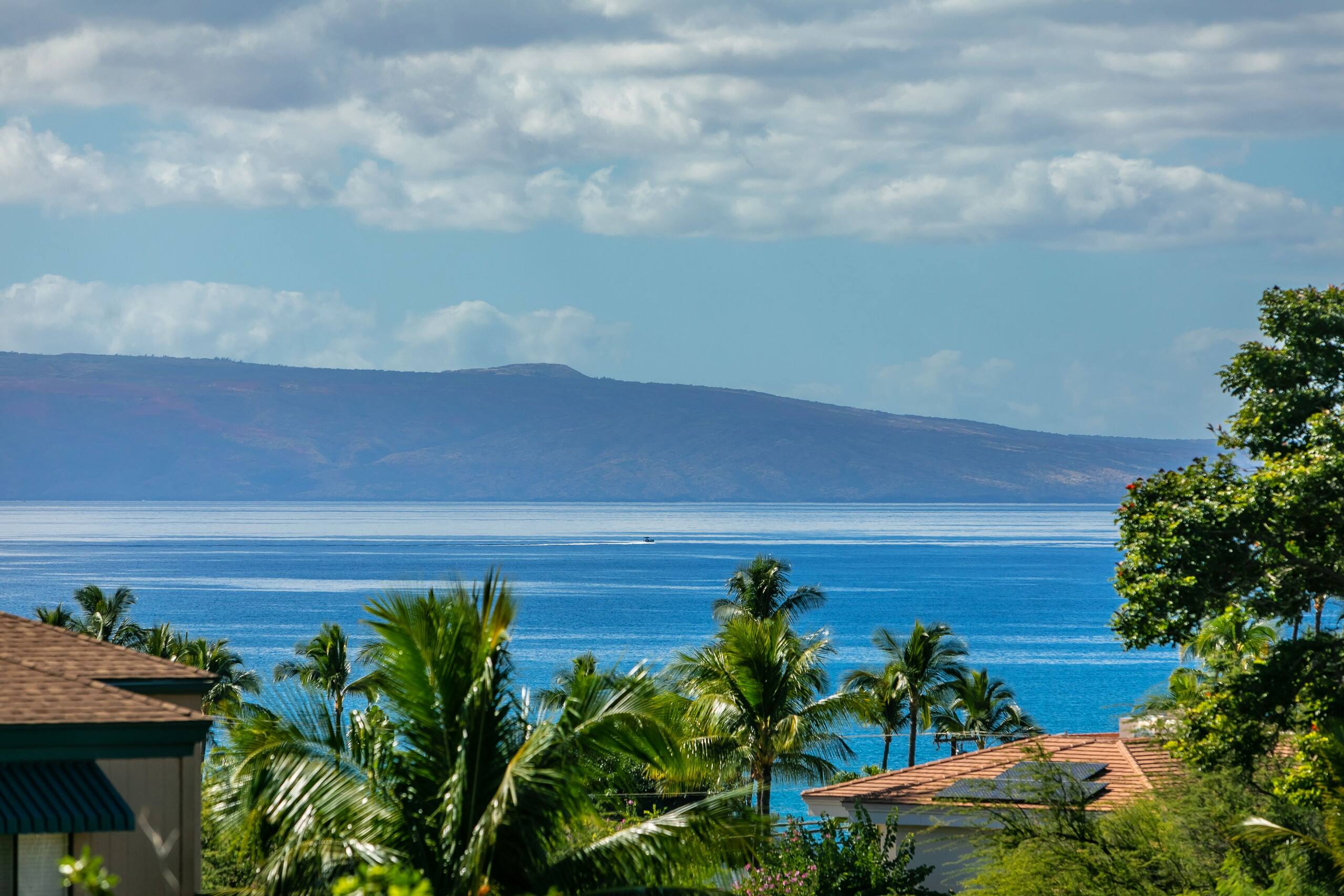 Condo in Kihei · ★4.85 · 1 bedroom · 2 beds · 1 shared bath - Image 15