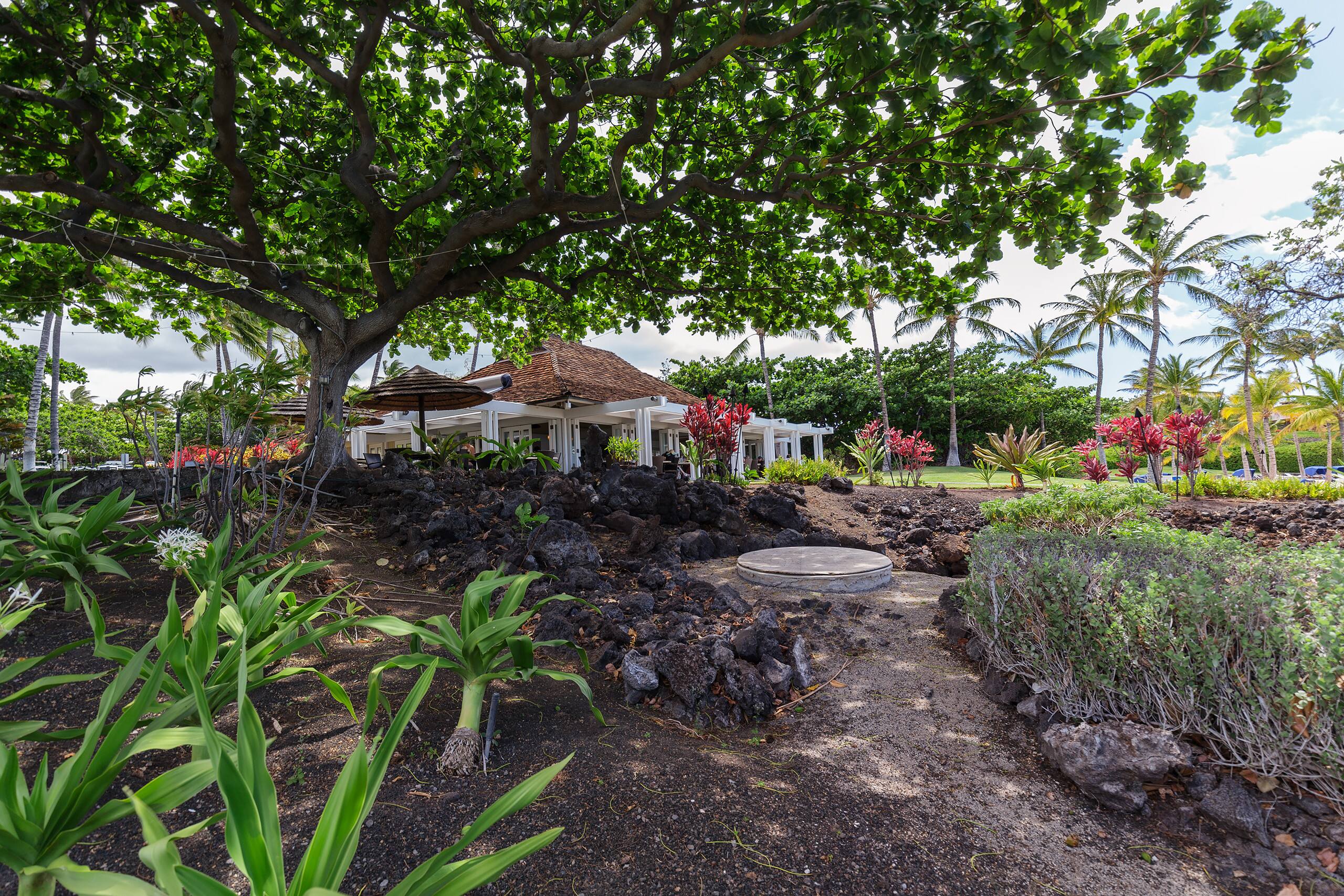 Home in Waimea · ★4.78 · 4 bedrooms · 5 beds · 4.5 baths - Image 48