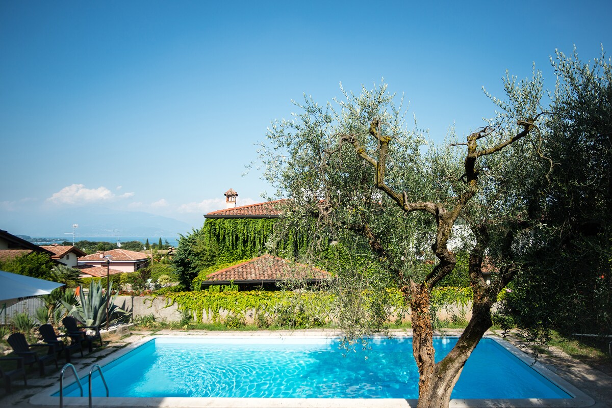 A private swimming pool is framed by lush greenery and a large olive tree. The villa's terracotta roof can be seen in the background against a clear blue sky. Comfortable lounge chairs line one side of the pool, providing a perfect spot for relaxation.