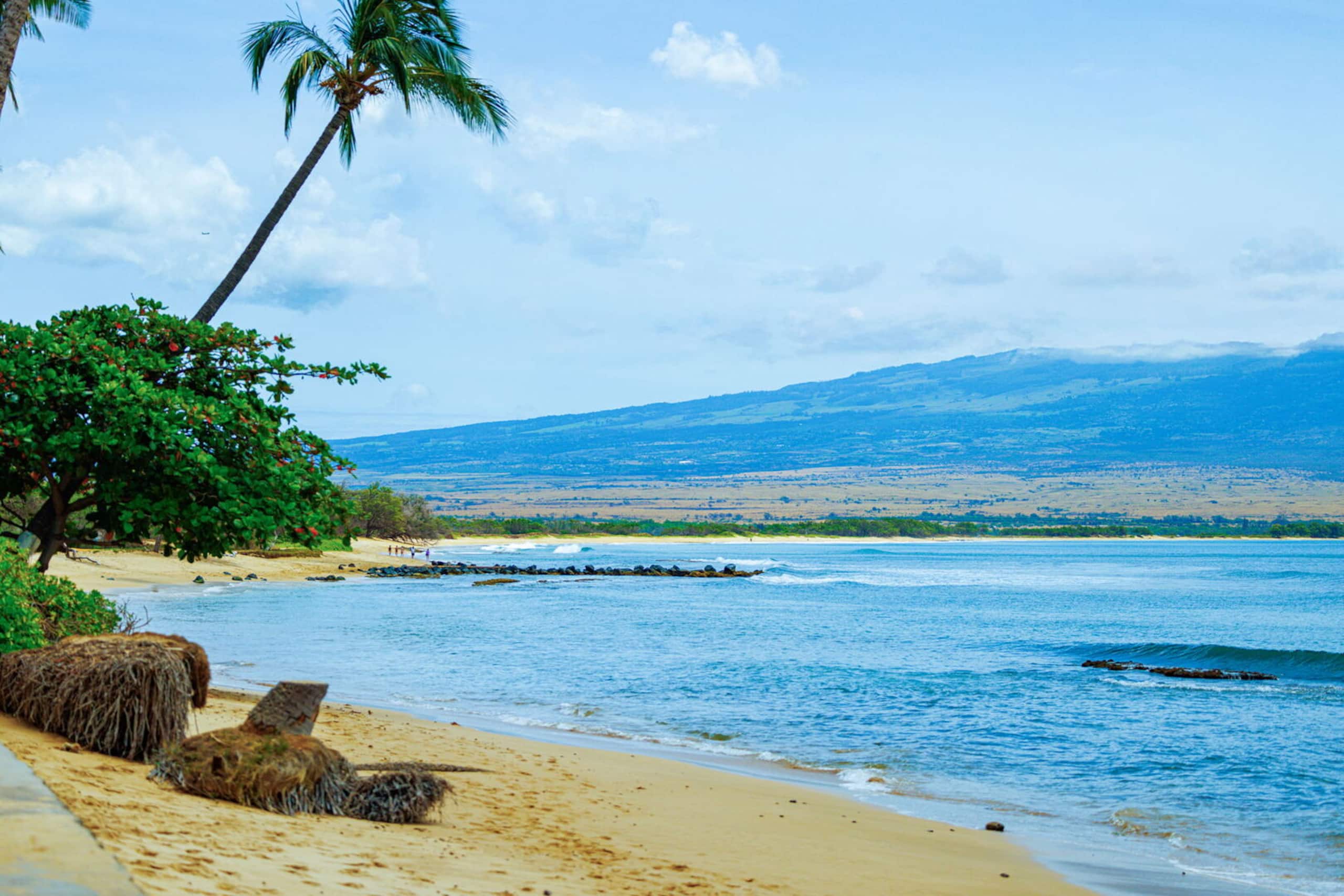 Condo in Maui County · ★4.66 · 1 bedroom · 2 beds · 1 private bath - Image 21