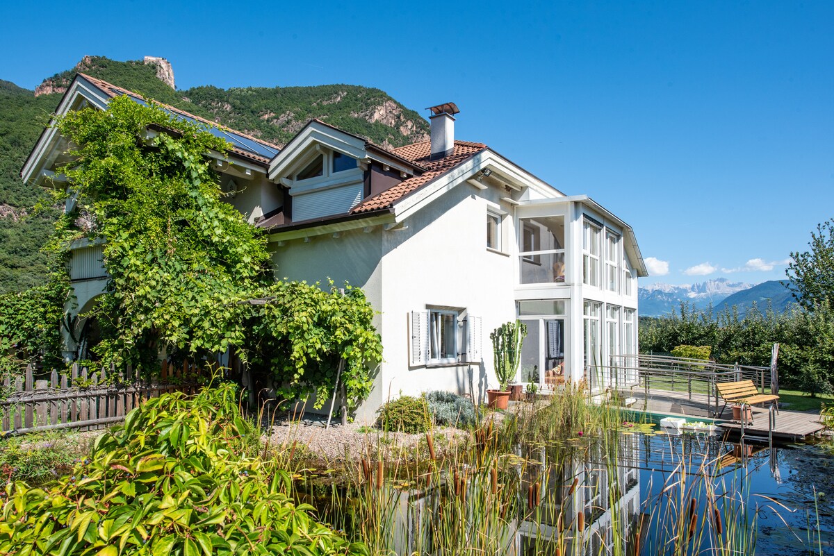 The exterior of the villa showcases a bright, modern design with large glass windows. Lush greenery envelops the building, while a serene pond is seen in the foreground, dotted with reeds and aquatic plants under a clear blue sky.