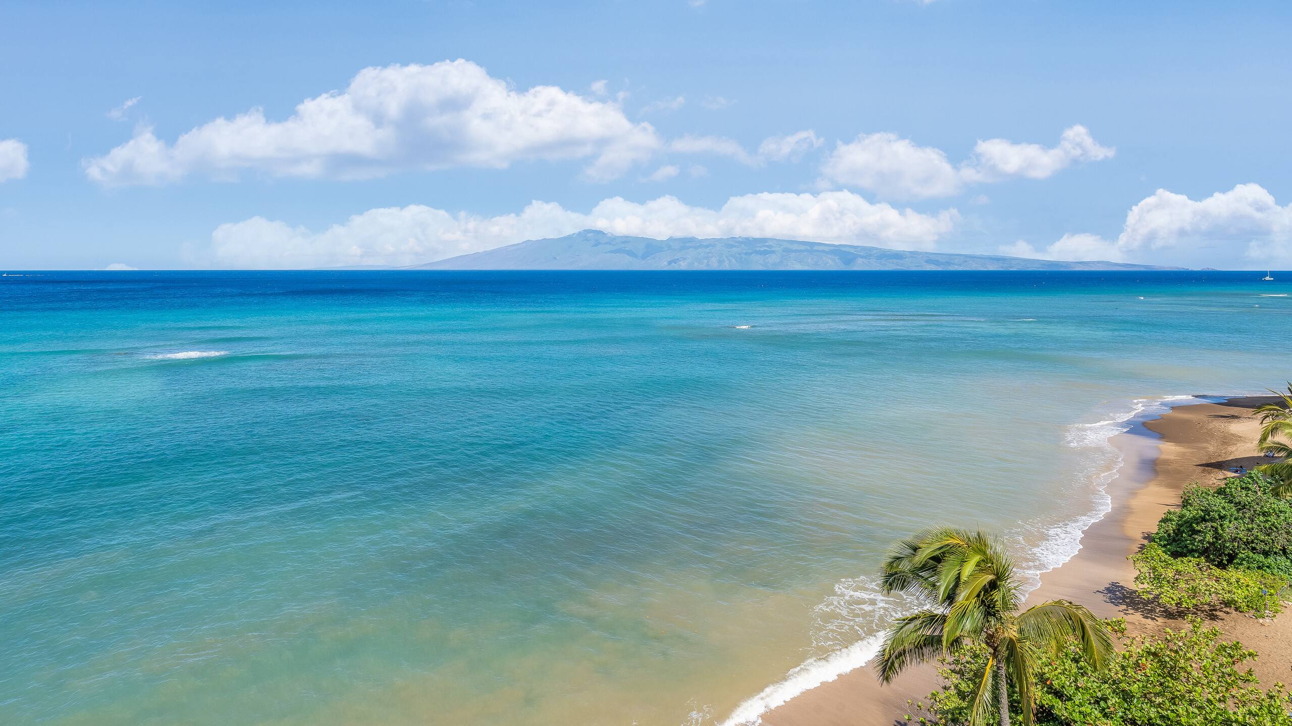 Condo in Lahaina · ★4.9 · 2 bedrooms · 4 beds · 2 baths - Image 58