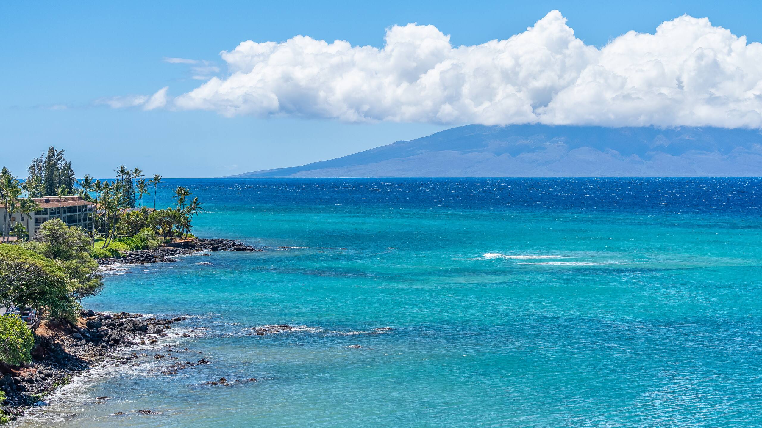 Condo in Lahaina · ★4.9 · 2 bedrooms · 4 beds · 2 baths - Image 39