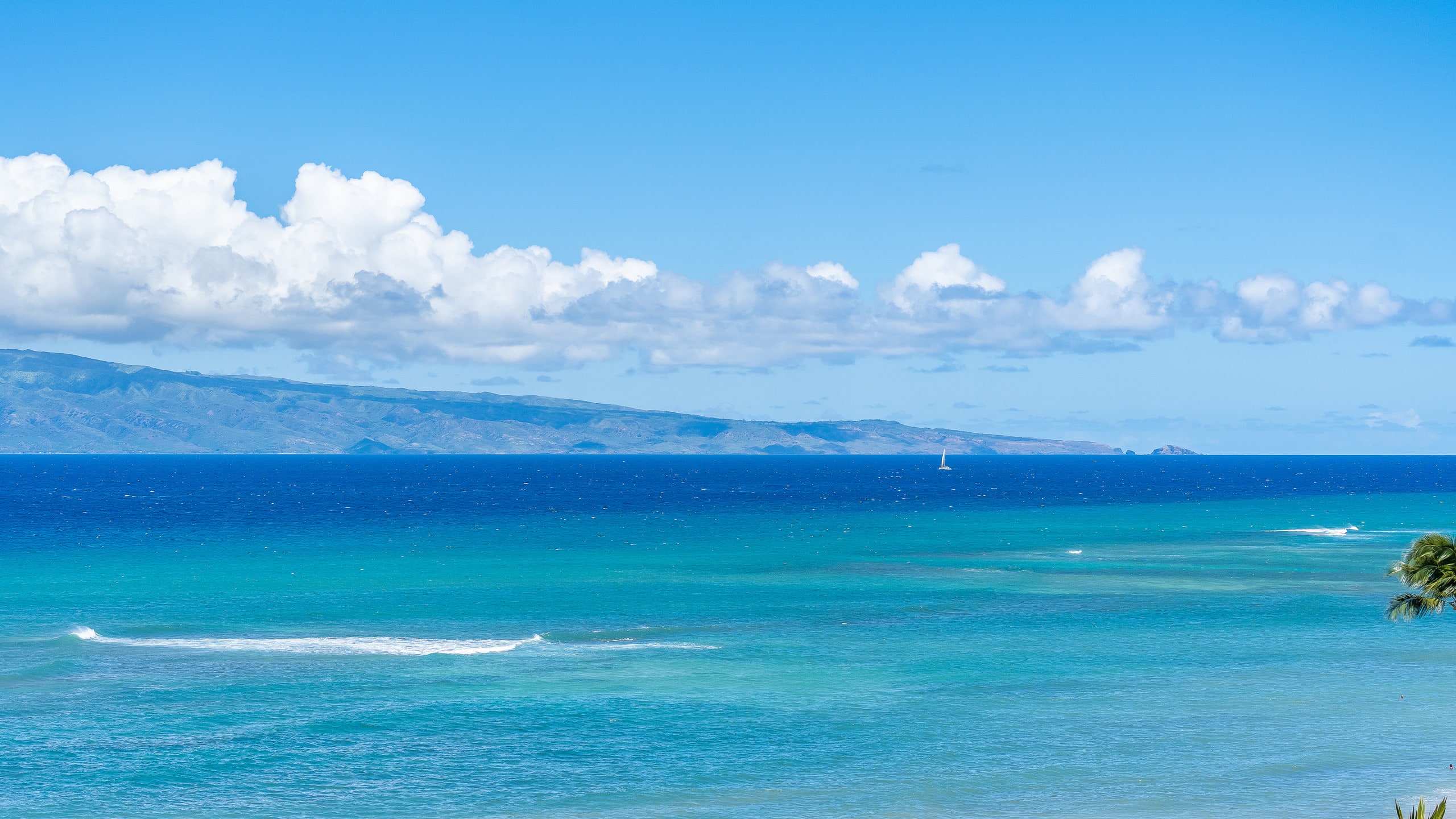 Condo in Lahaina · ★4.9 · 2 bedrooms · 4 beds · 2 baths - Image 40