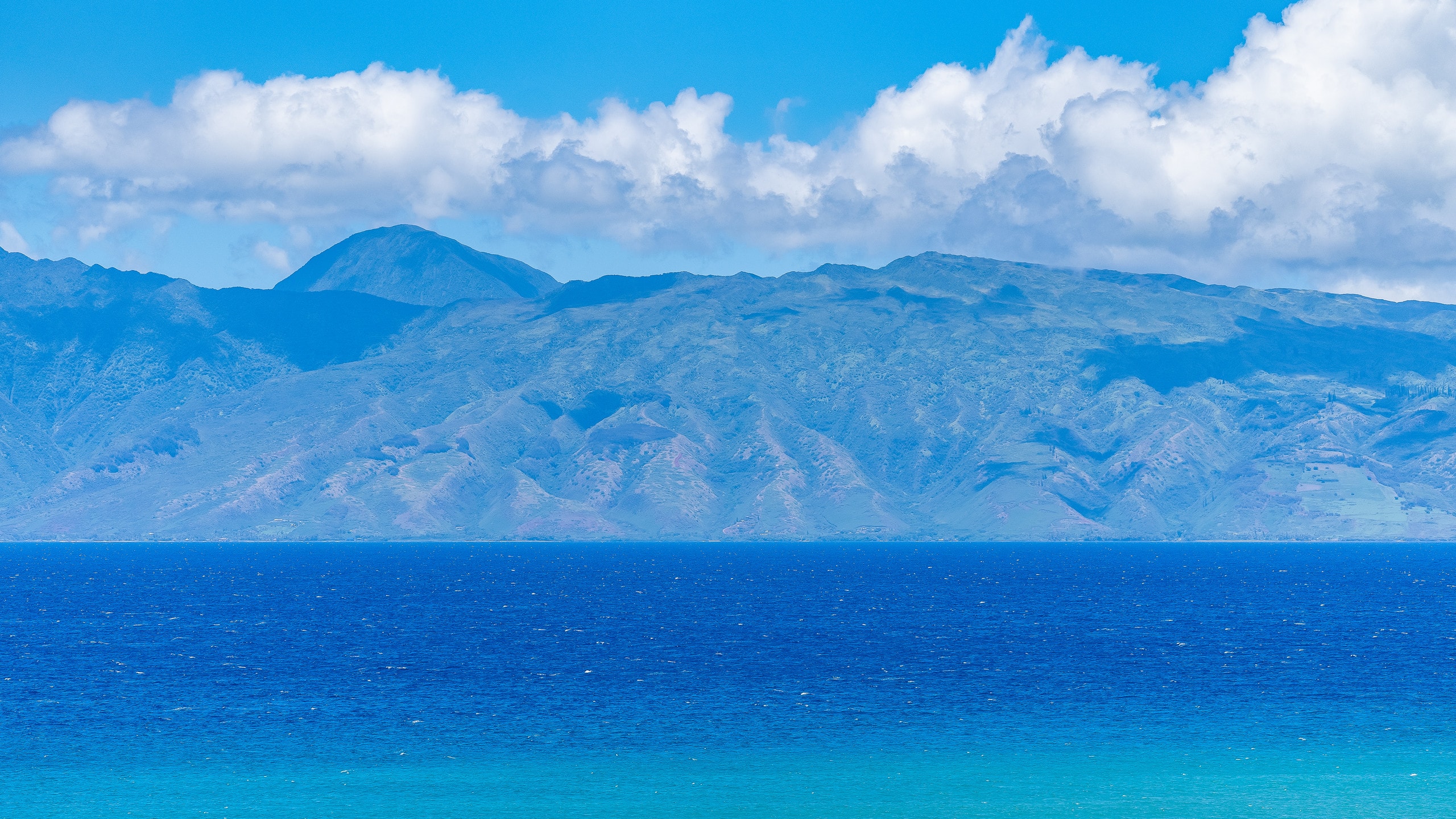 Condo in Lahaina · ★4.9 · 2 bedrooms · 4 beds · 2 baths - Image 43