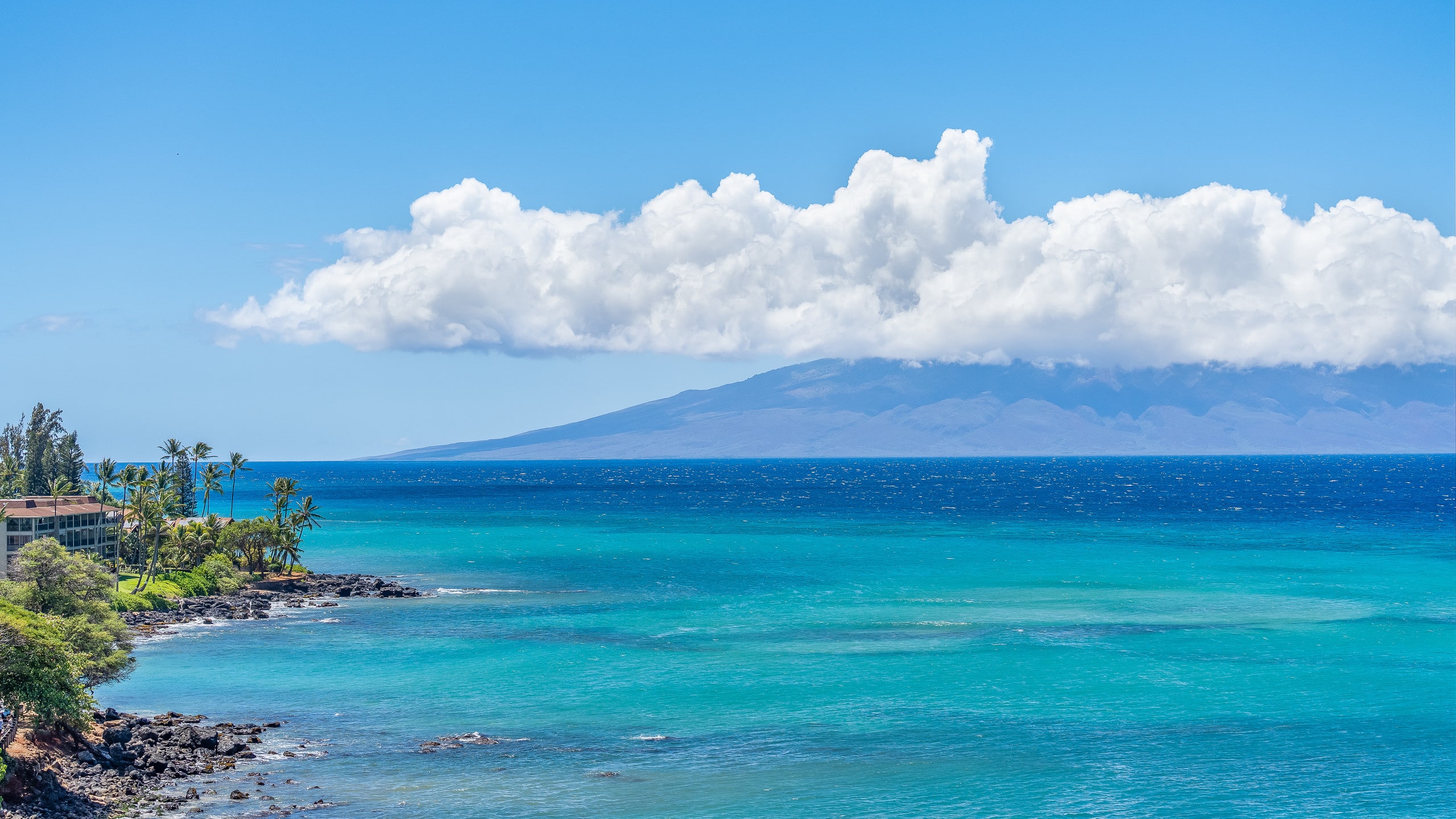 Condo in Lahaina · ★4.9 · 2 bedrooms · 4 beds · 2 baths - Image 44