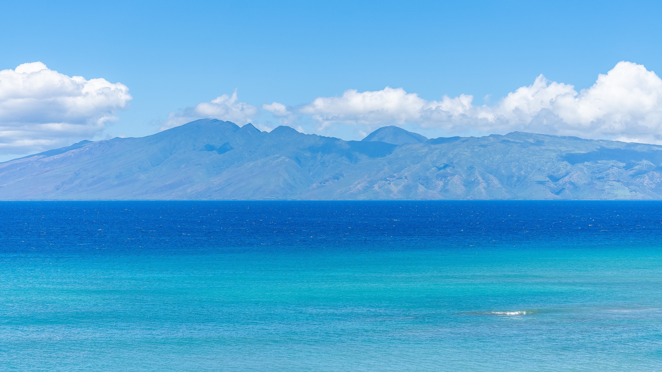 Condo in Lahaina · ★4.9 · 2 bedrooms · 4 beds · 2 baths - Image 41
