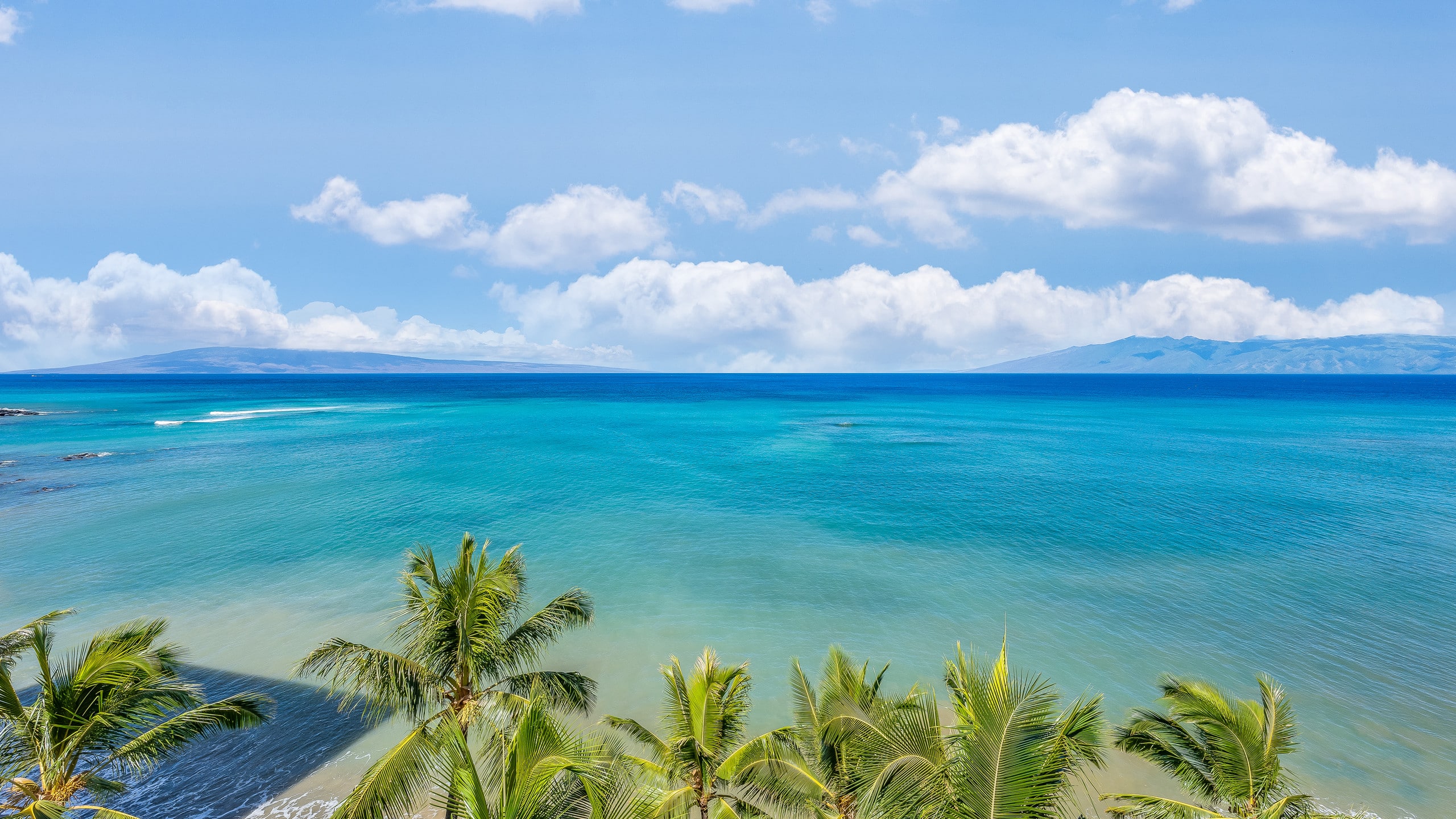 Condo in Lahaina · ★4.9 · 2 bedrooms · 4 beds · 2 baths - Image 57
