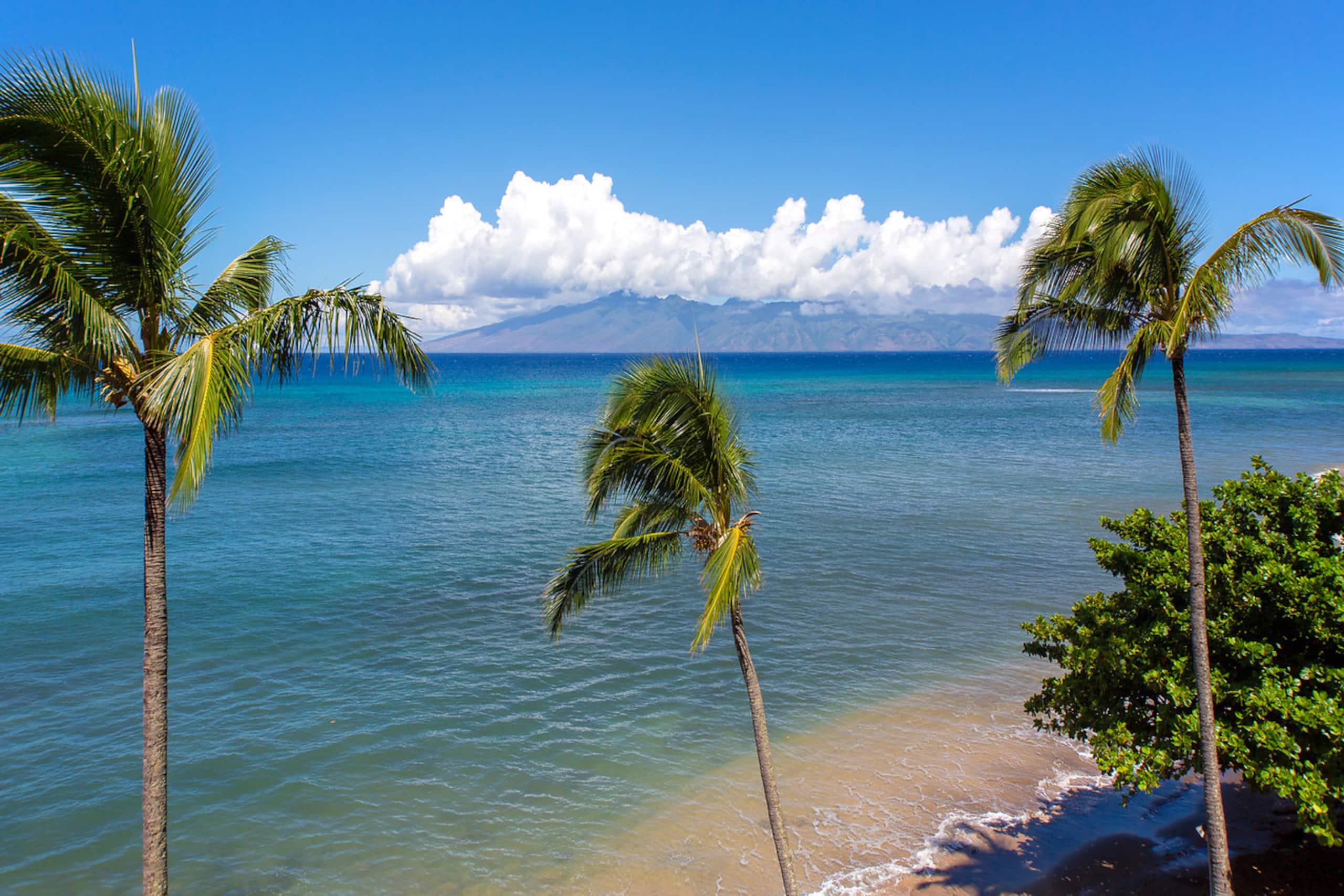 Condo in Lahaina · ★4.86 · 2 bedrooms · 4 beds · 2 baths - Image 48