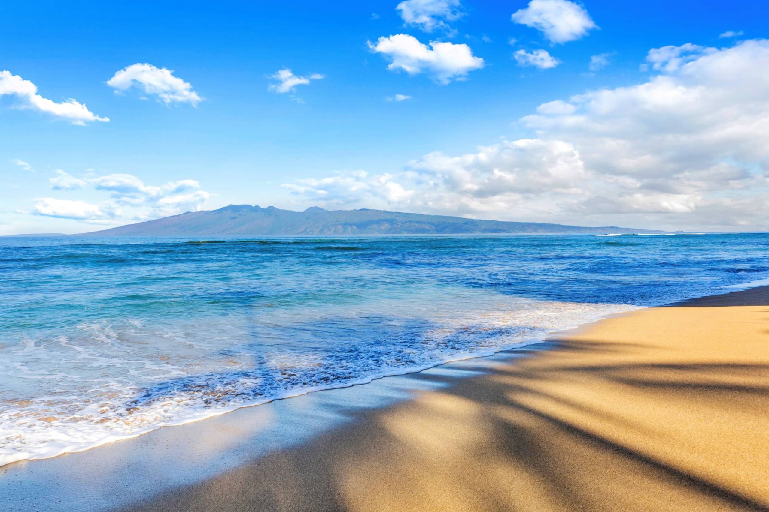 Condo in Lahaina · ★4.86 · 2 bedrooms · 4 beds · 2 baths - Image 75