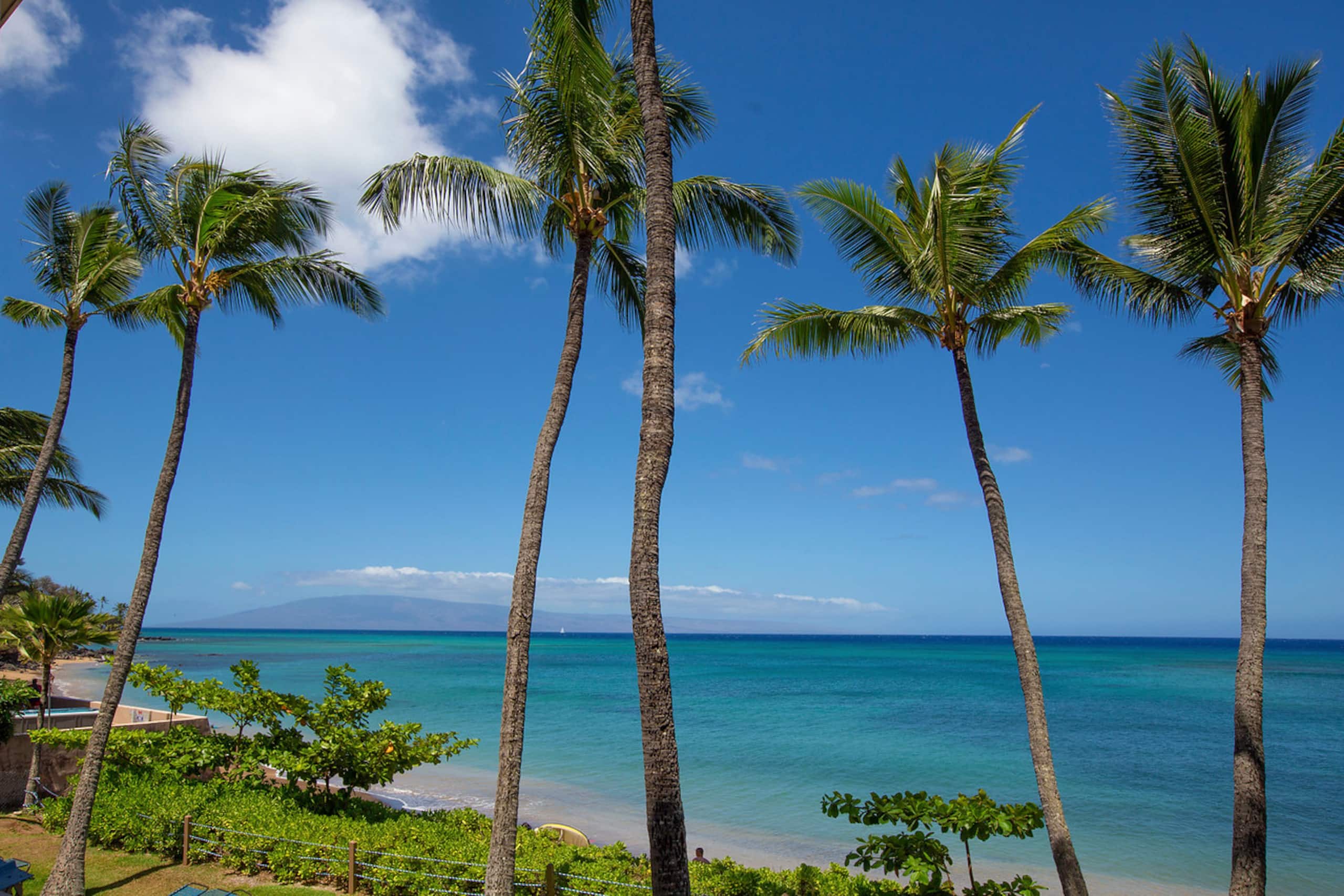 Condo in Lahaina · ★5.0 · 2 bedrooms · 3 beds · 2 baths - Image 44