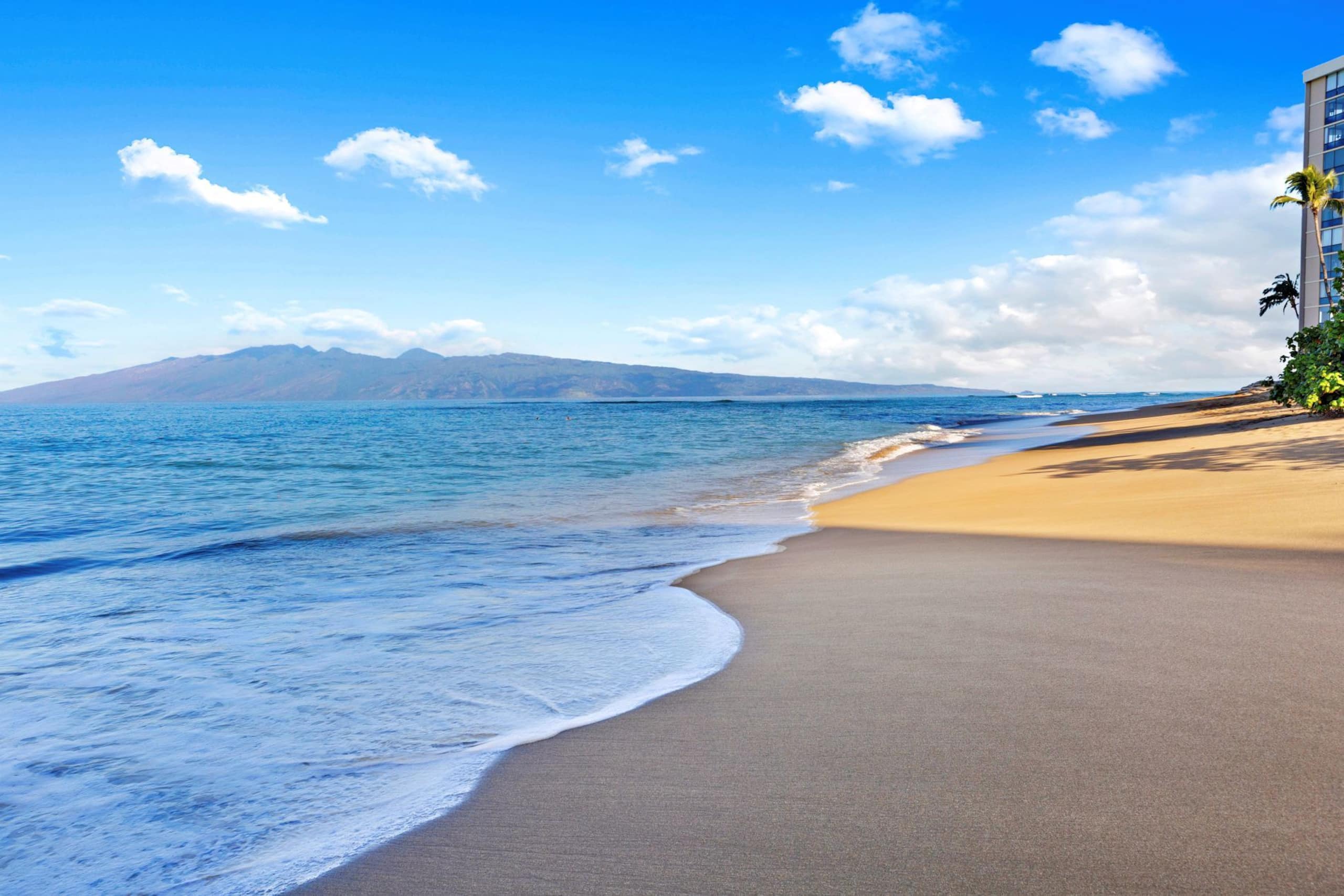 Condo in Lahaina · ★4.53 · 1 bedroom · 2 beds · 2 private baths - Image 39
