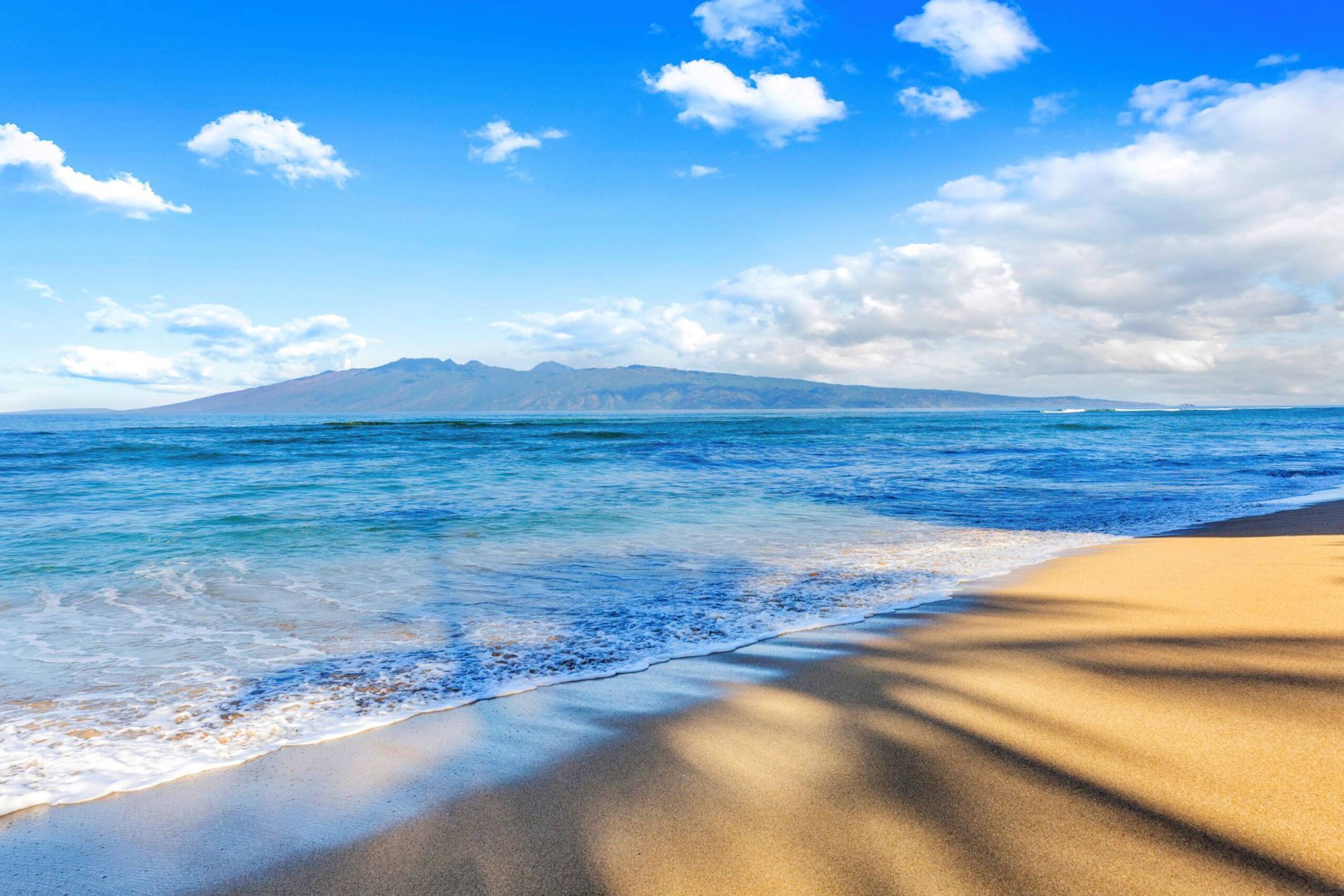 Condo in Lahaina · ★4.53 · 1 bedroom · 2 beds · 2 private baths - Image 48