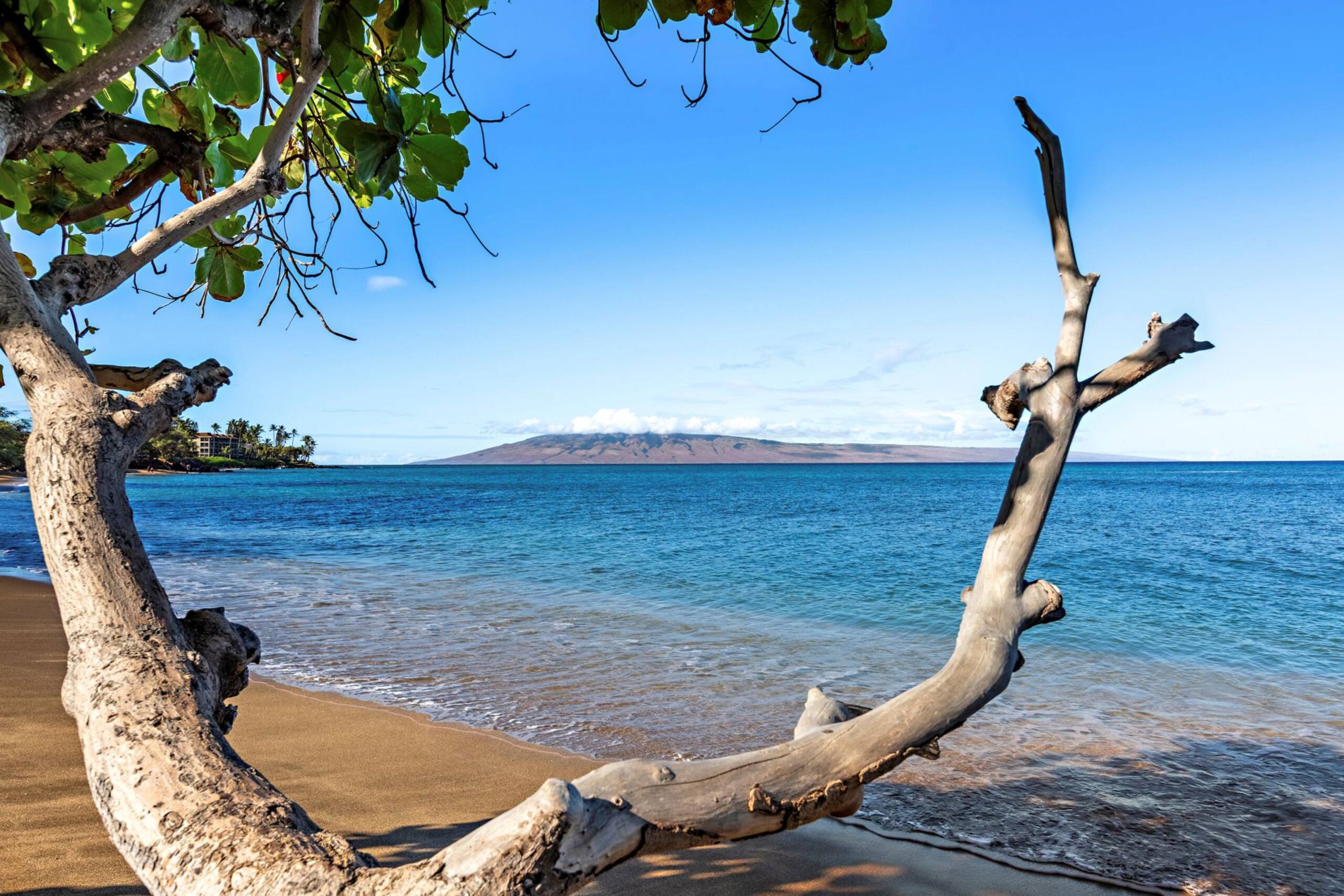 Condo in Lahaina · ★4.29 · 2 bedrooms · 2 beds · 2 baths - Image 66
