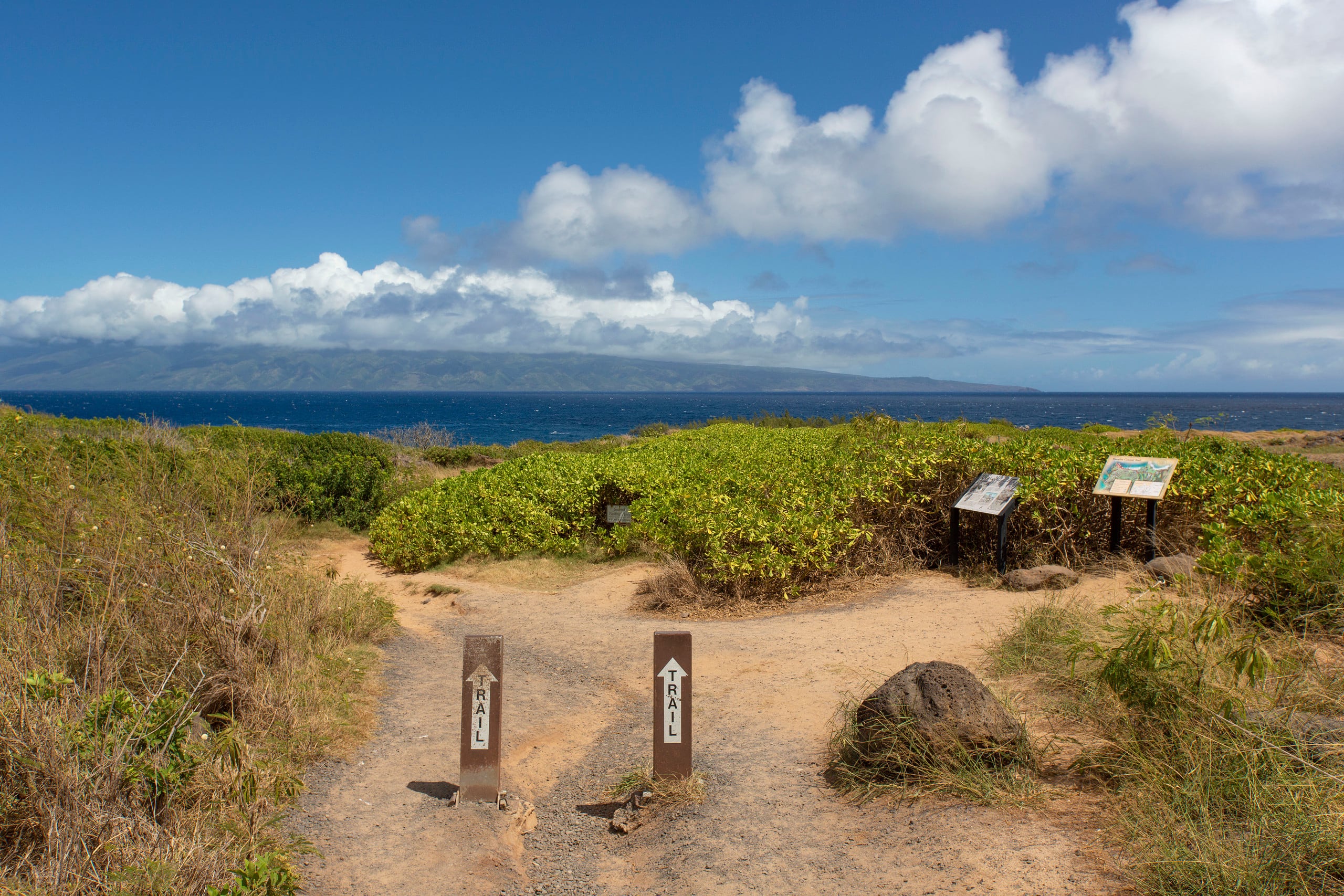 Condo in Lahaina · ★4.65 · 2 bedrooms · 3 beds · 2.5 baths - Image 17