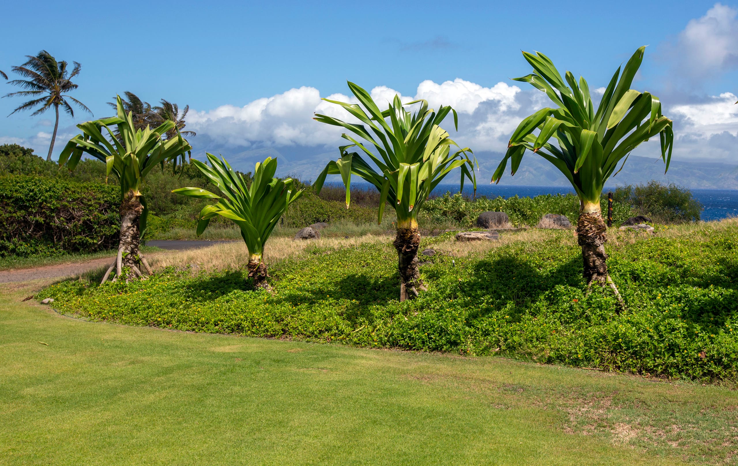 Condo in Lahaina · ★4.65 · 2 bedrooms · 3 beds · 2.5 baths - Image 16