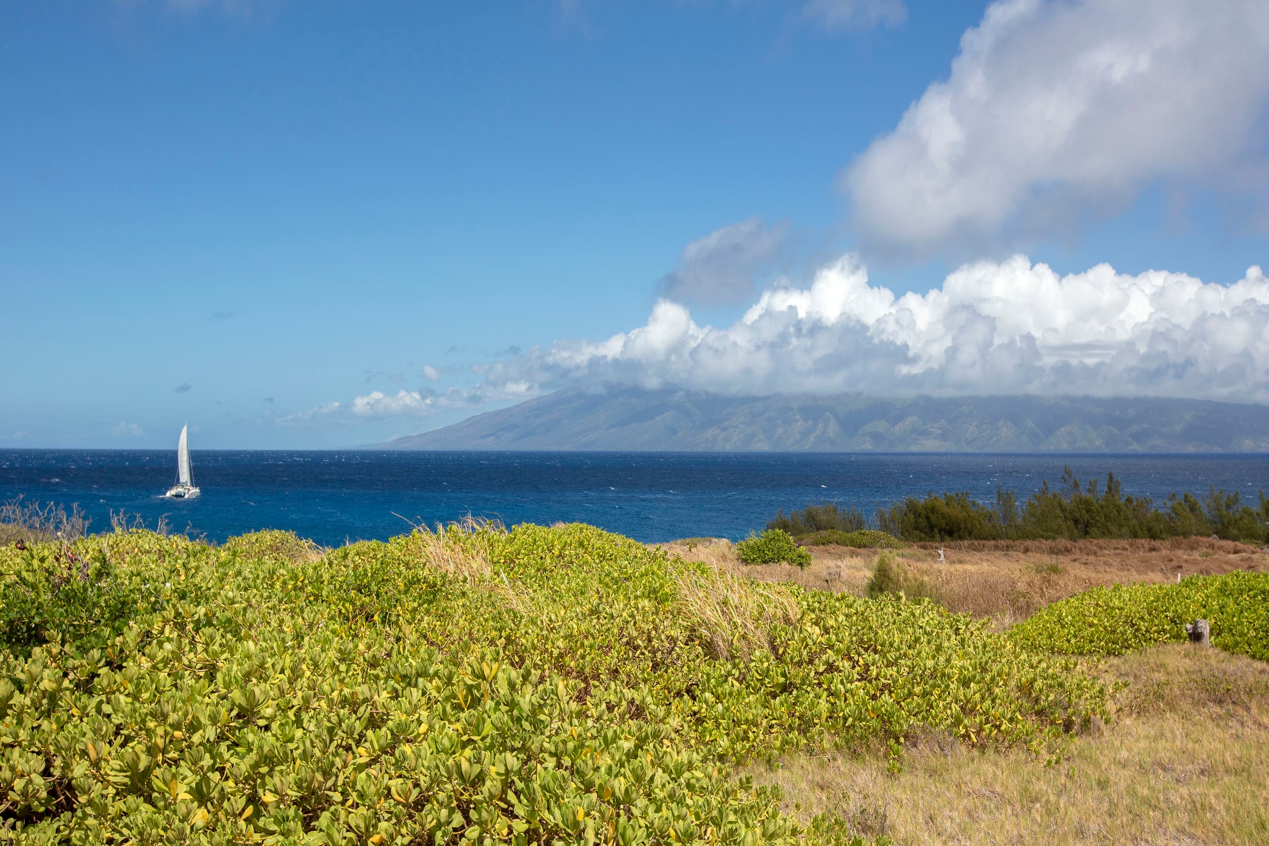 Condo in Lahaina · ★4.65 · 2 bedrooms · 3 beds · 2.5 baths - Image 19