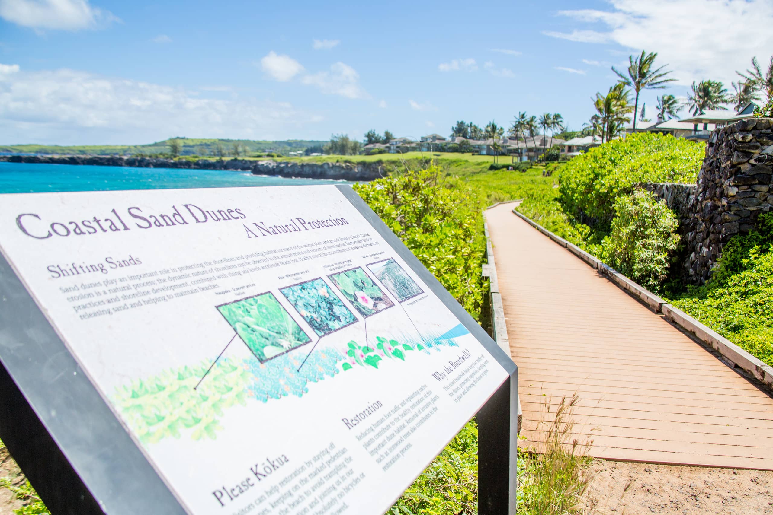 Condo in Lahaina · ★4.79 · 2 bedrooms · 3 beds · 3 private baths - Image 23