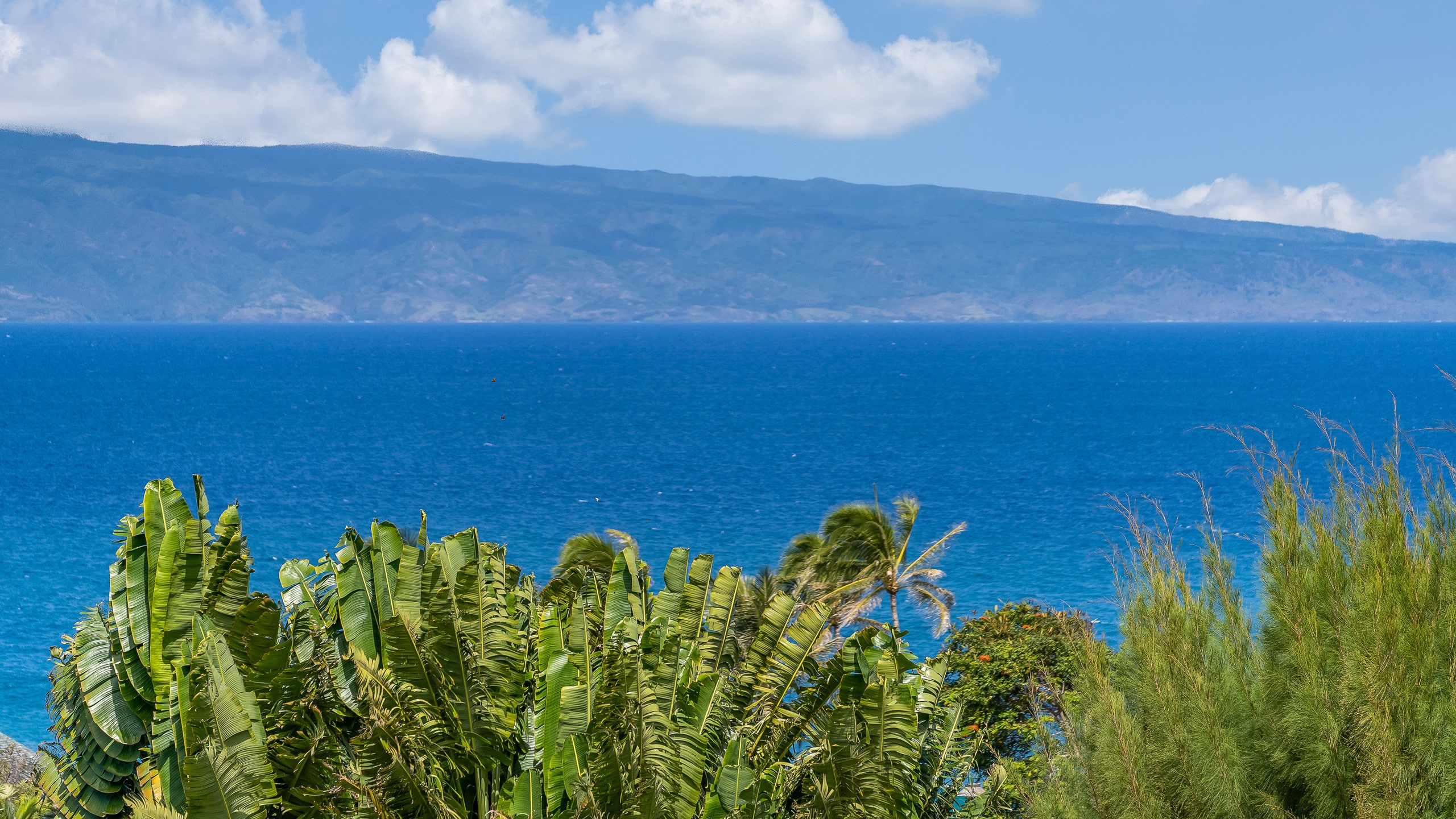 Condo in Lahaina · ★4.79 · 2 bedrooms · 3 beds · 3 private baths - Image 55