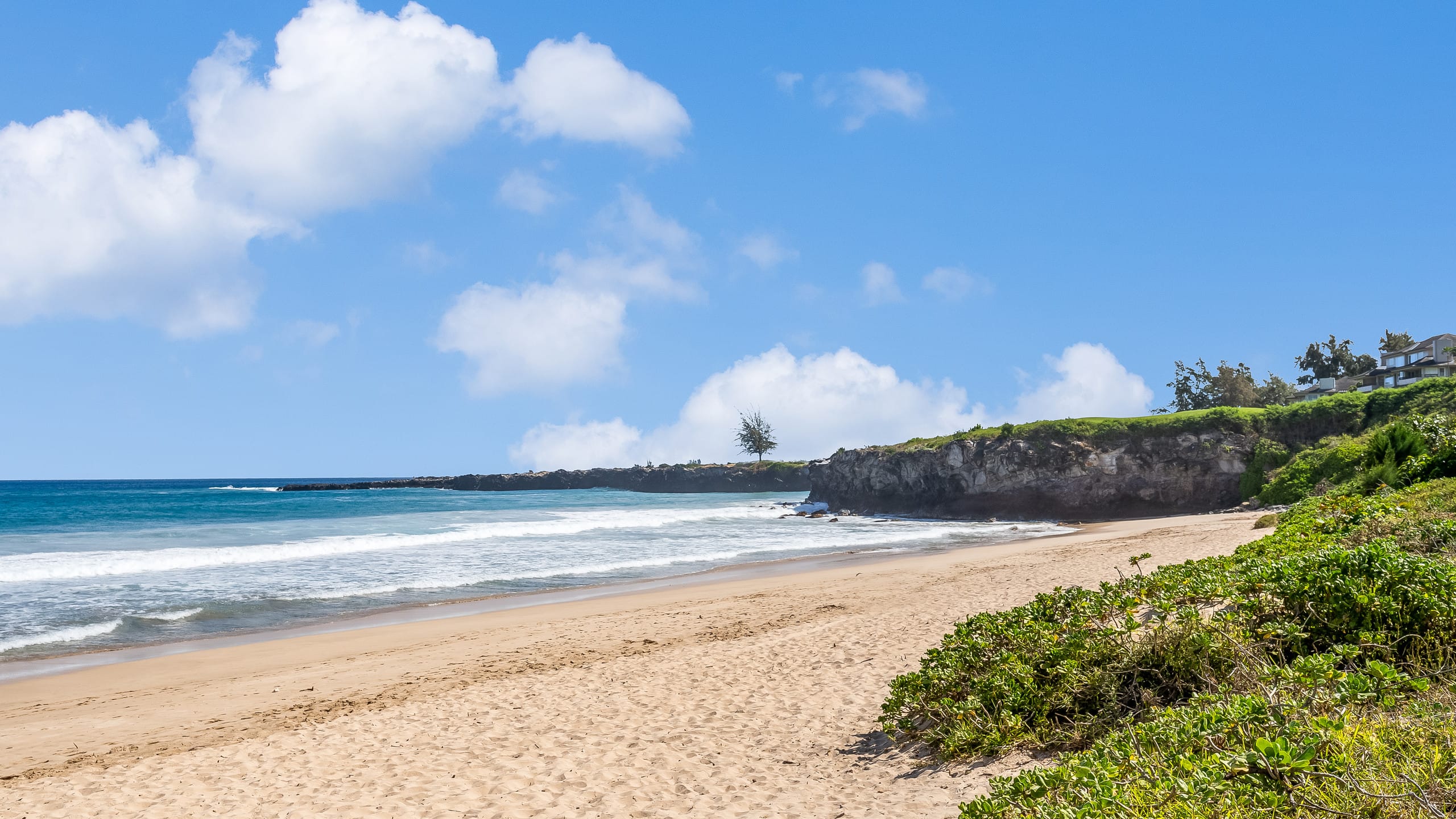 Condo in Lahaina · ★4.79 · 2 bedrooms · 3 beds · 3 private baths - Image 35