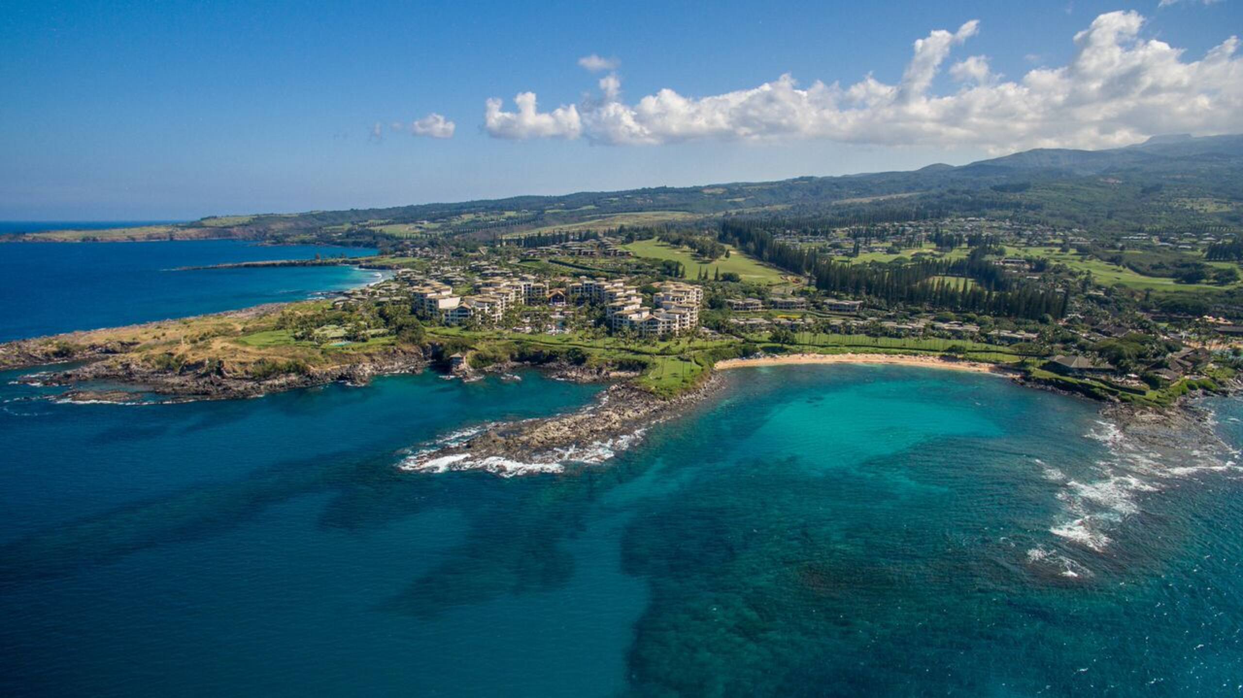 Condo in Lahaina · ★4.3 · 1 bedroom · 2 beds · 2 private baths - Image 24