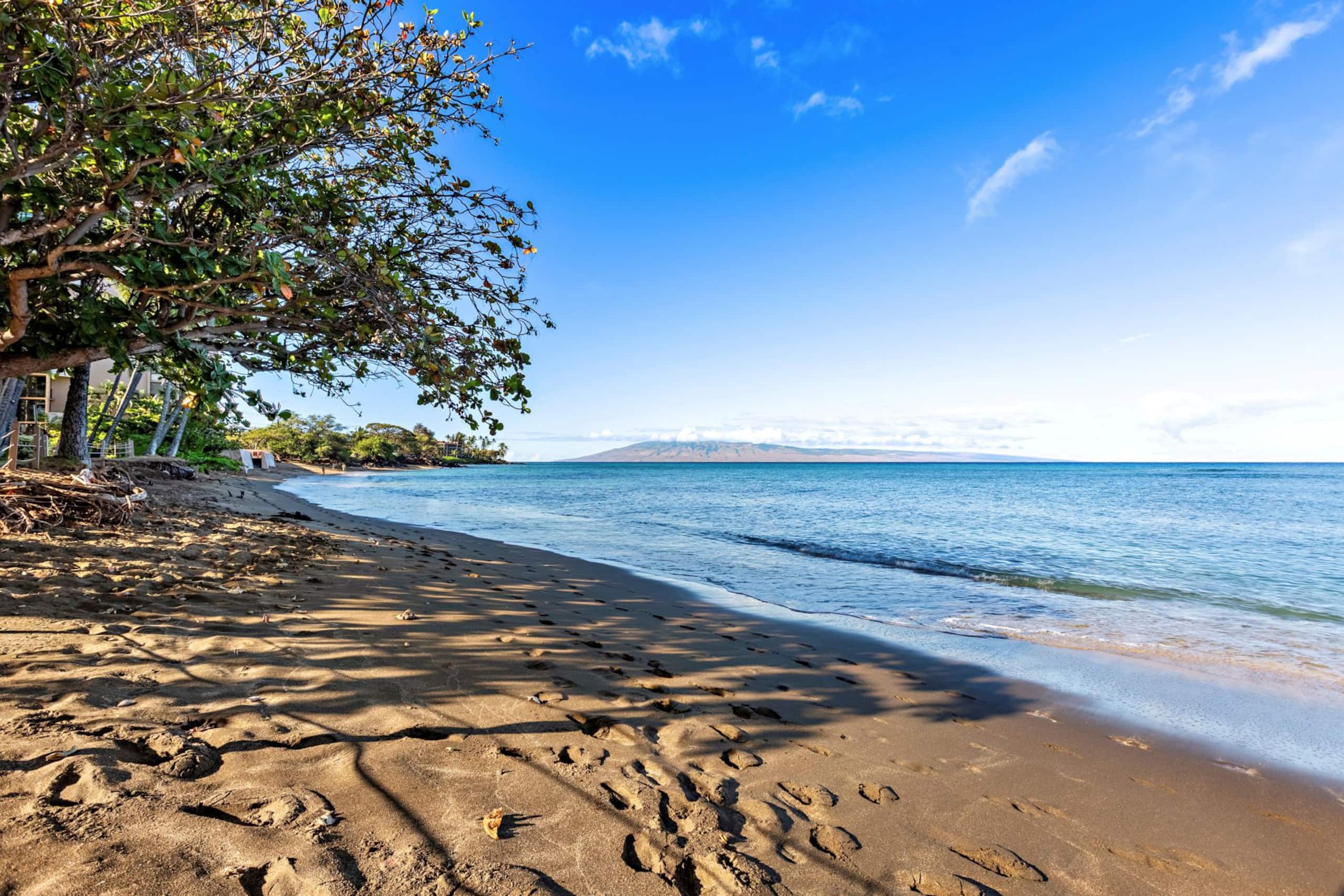 Condo in Lahaina · ★4.6 · 1 bedroom · 2 beds · 2 baths - Image 45