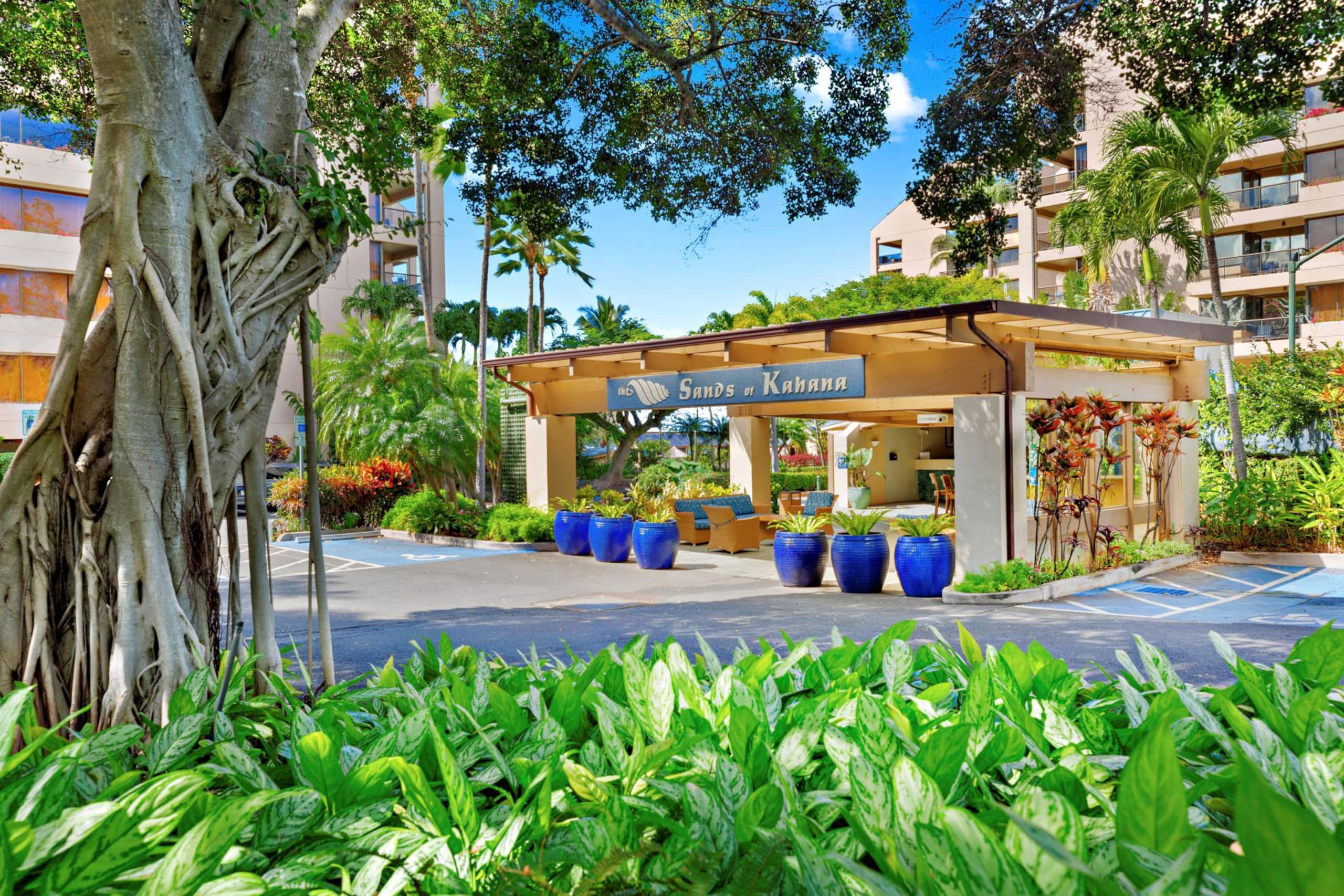 Condo in Lahaina · ★5.0 · 2 bedrooms · 4 beds · 2 private baths - Image 50