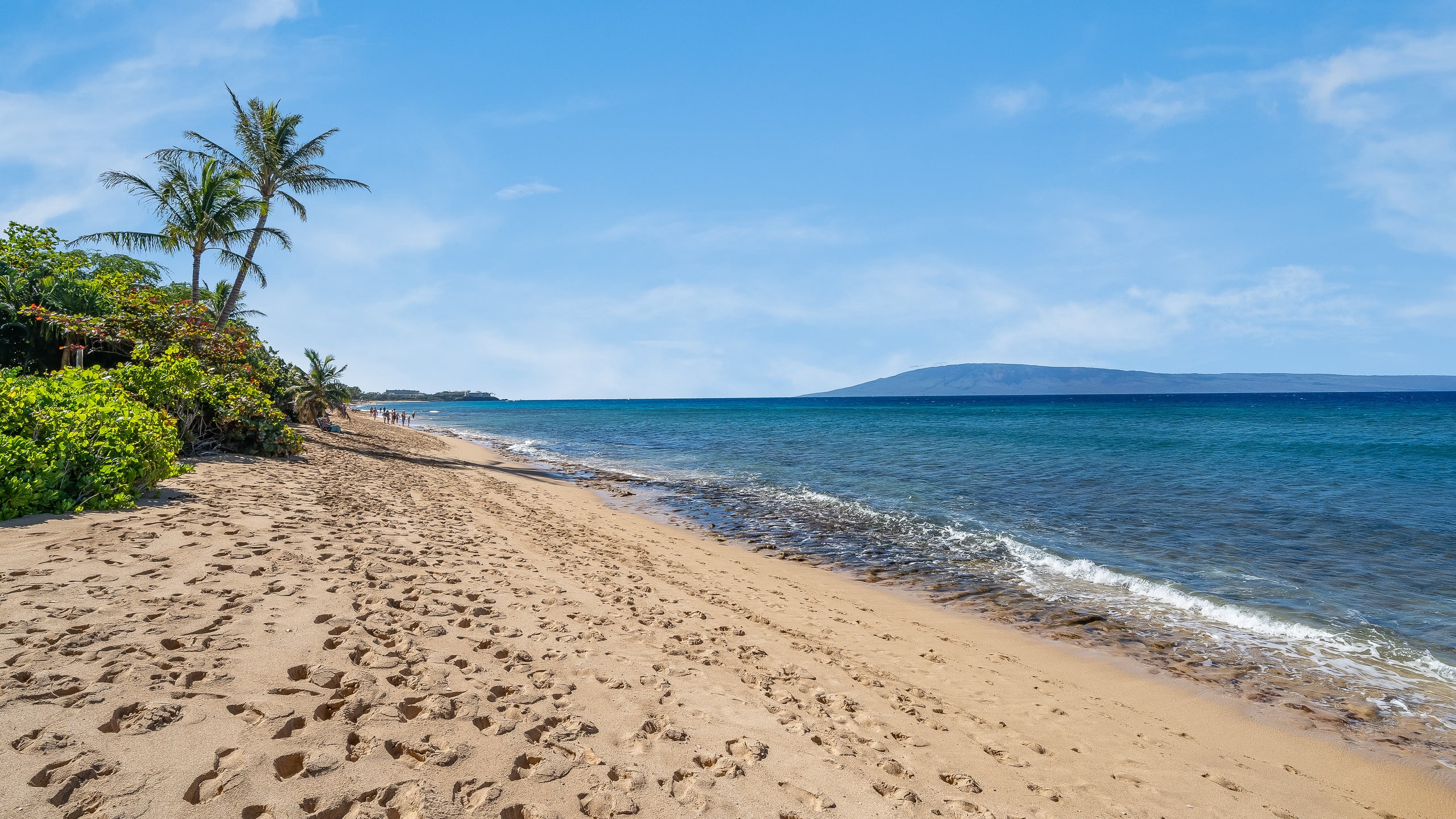 Condo in Lahaina · ★4.8 · 1 bedroom · 2 beds · 1 private bath - Image 23