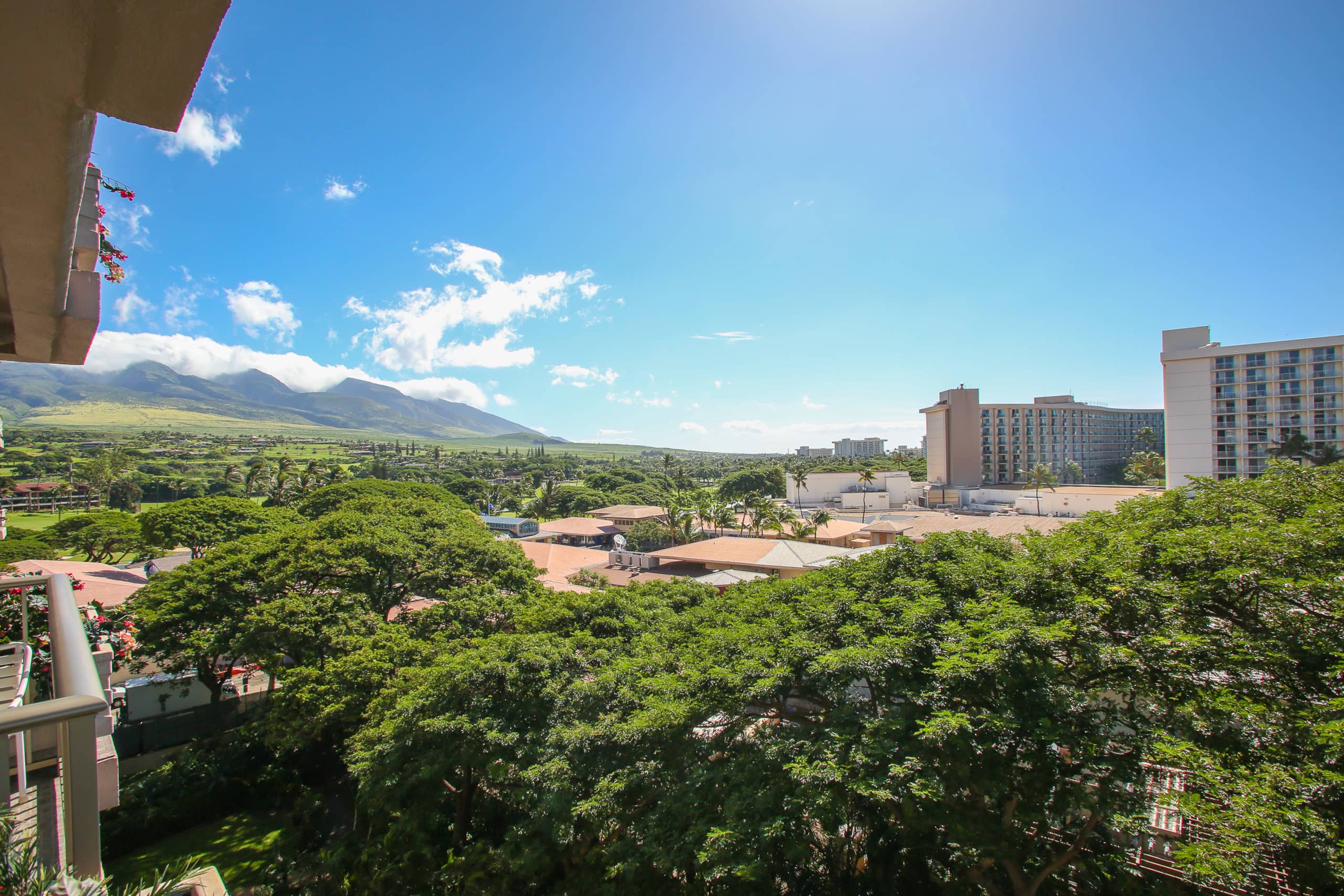 Condo in Lahaina · ★4.67 · 1 bedroom · 2 beds · 1 shared bath - Image 10