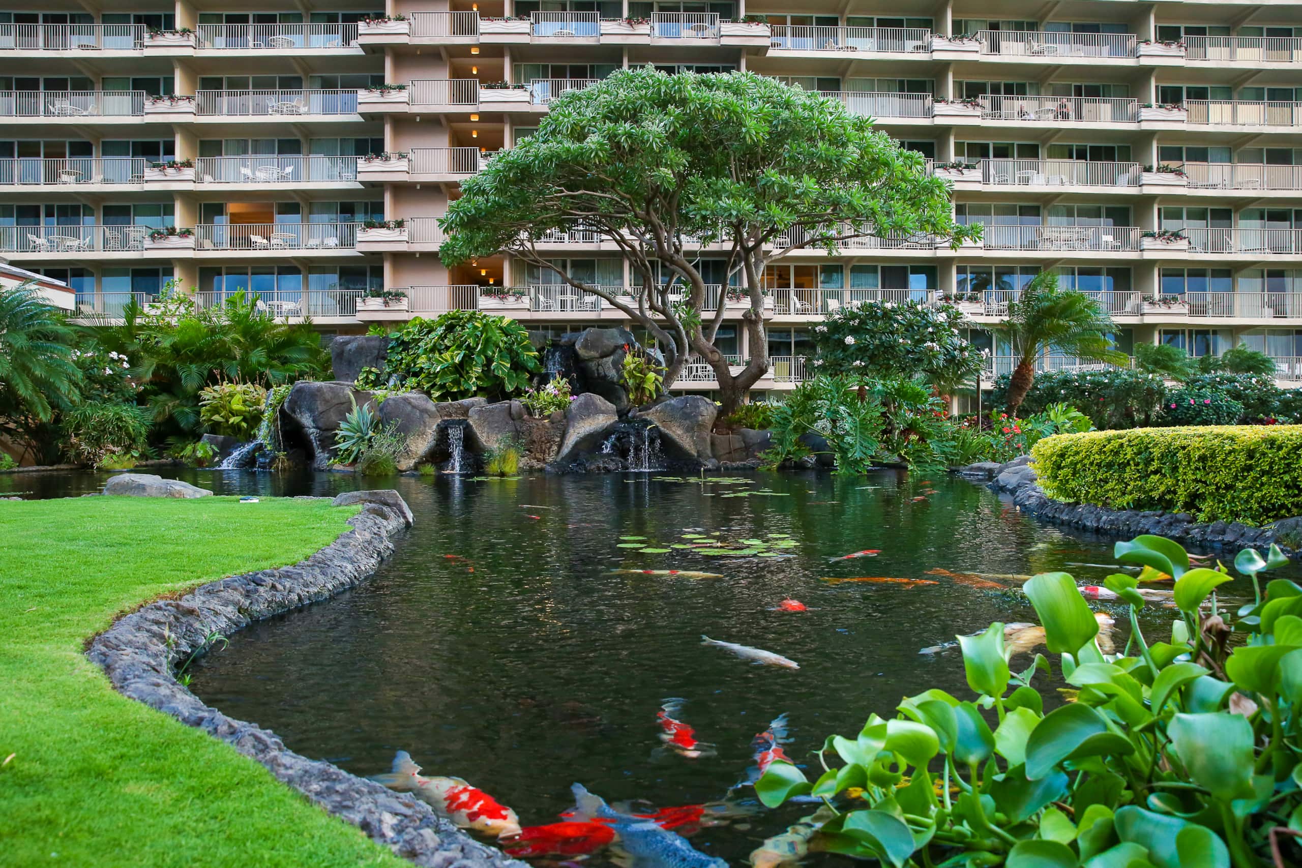 Condo in Lahaina · ★4.67 · 1 bedroom · 2 beds · 1 shared bath - Image 20