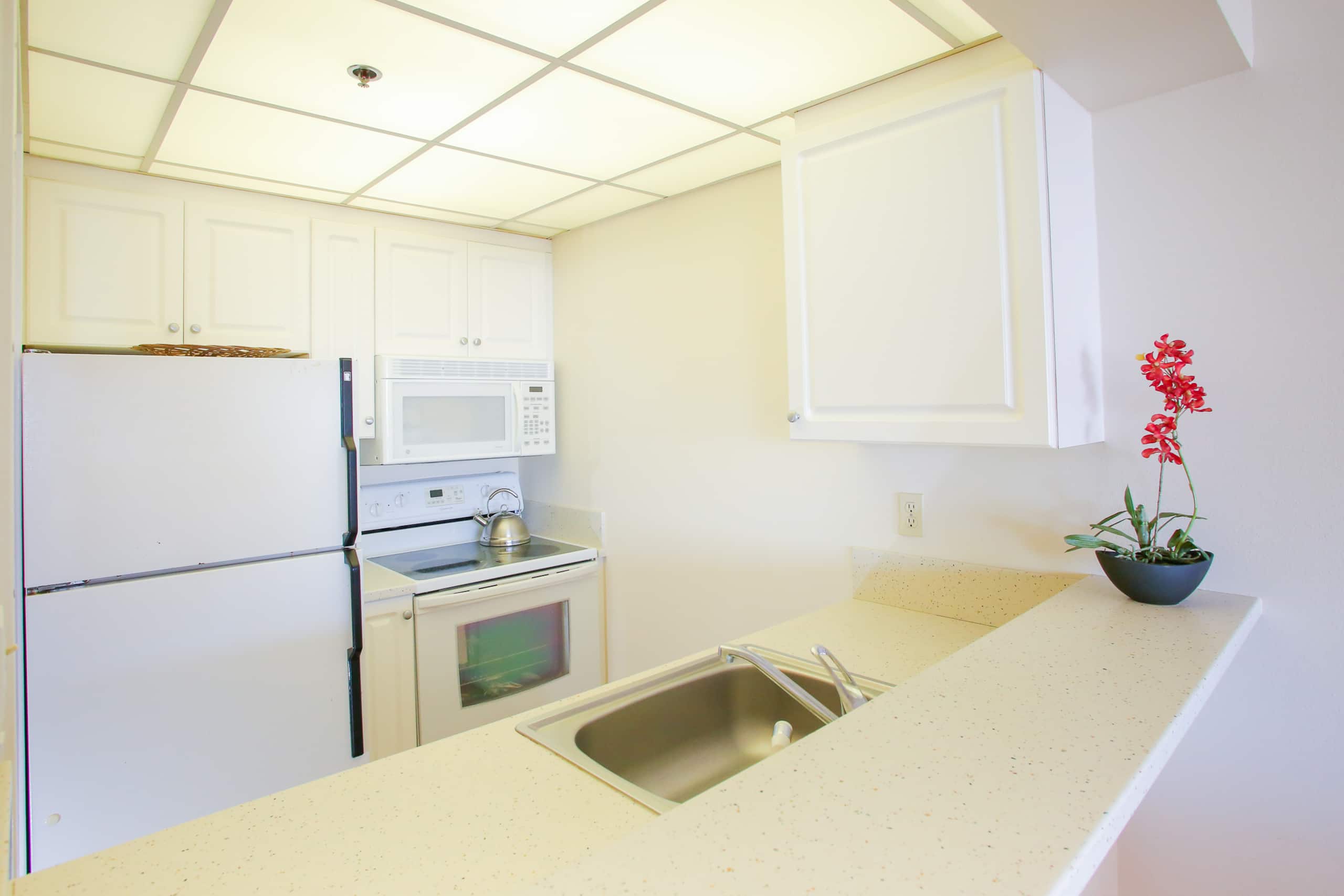 Condo in Lahaina · ★4.67 · 1 bedroom · 2 beds · 1 shared bath - Image 13