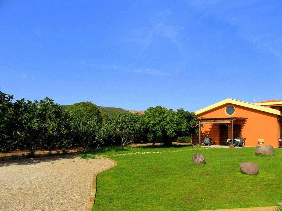 A spacious outdoor area features a green lawn with several rock formations and a gravel path. The colorful house is partially visible on the right, surrounded by lush trees in the background. The clear blue sky adds to the serene setting.