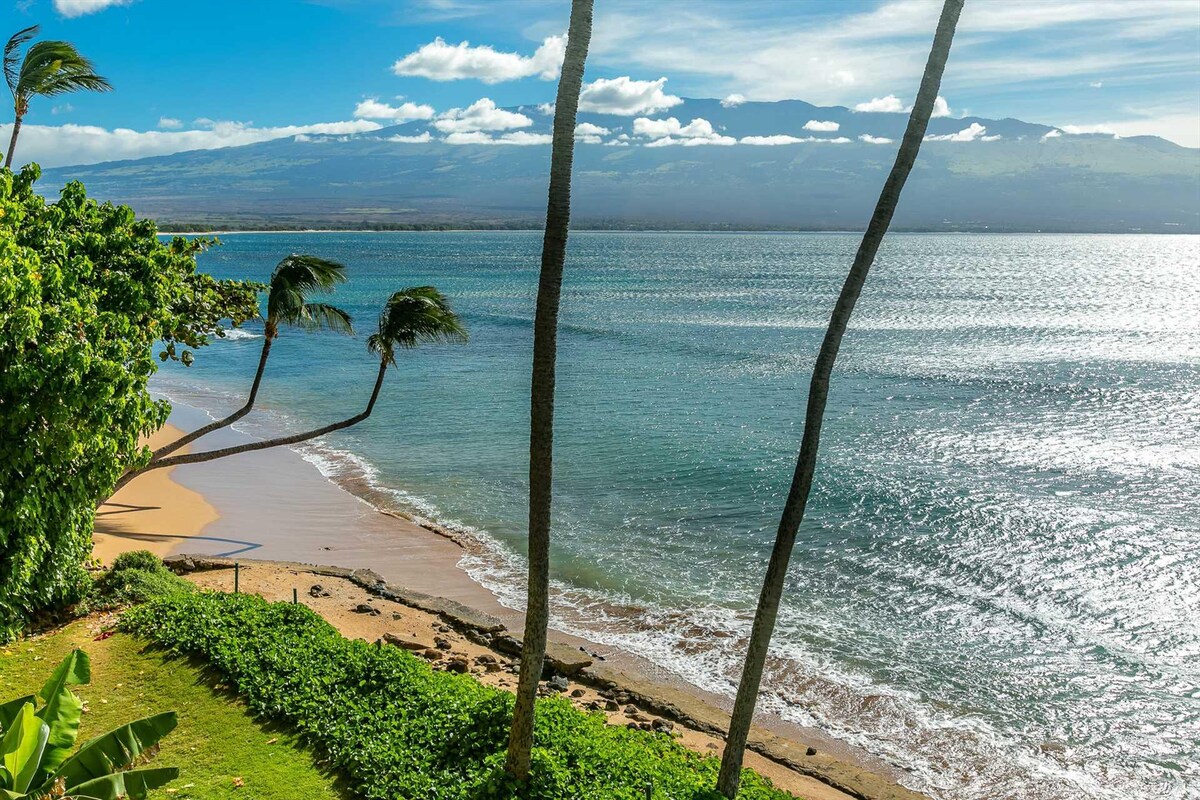 The image showcases a view of a serene beach framed by swaying palm trees, with gentle waves lapping at the shore. The sky is bright with clouds, casting soft reflections on the water, while lush greenery contrasts with the sandy beach.