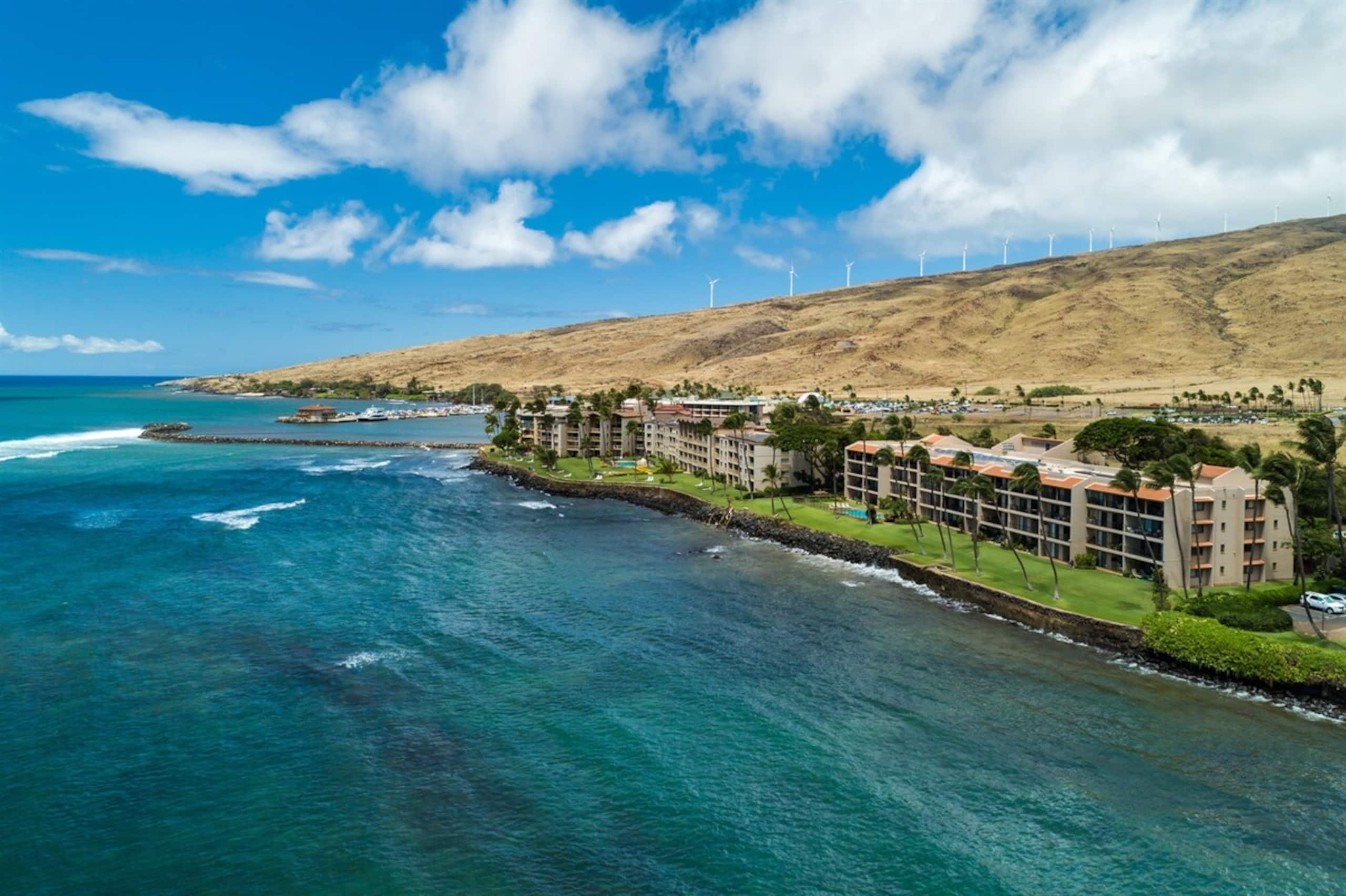 Condo in Wailuku · ★4.93 · 3 bedrooms · 4 beds · 2 private baths - Image 21