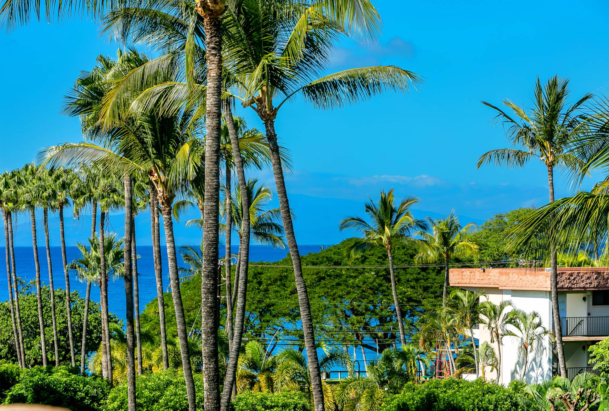 Condo in Kihei · ★4.88 · 2 bedrooms · 3 beds · 2 shared baths - Image 19