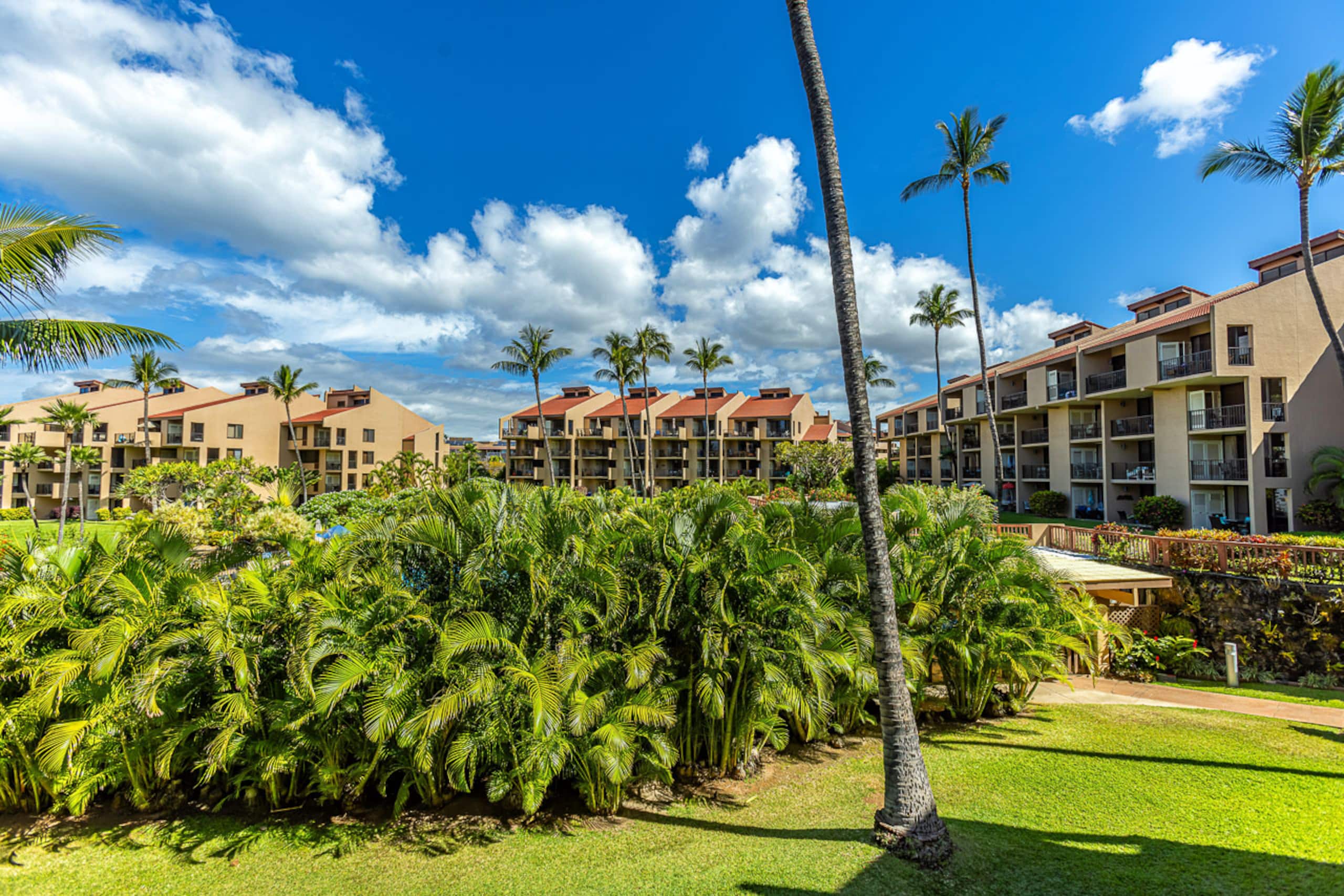 Condo in Kihei · ★4.88 · 2 bedrooms · 3 beds · 2 shared baths - Image 39