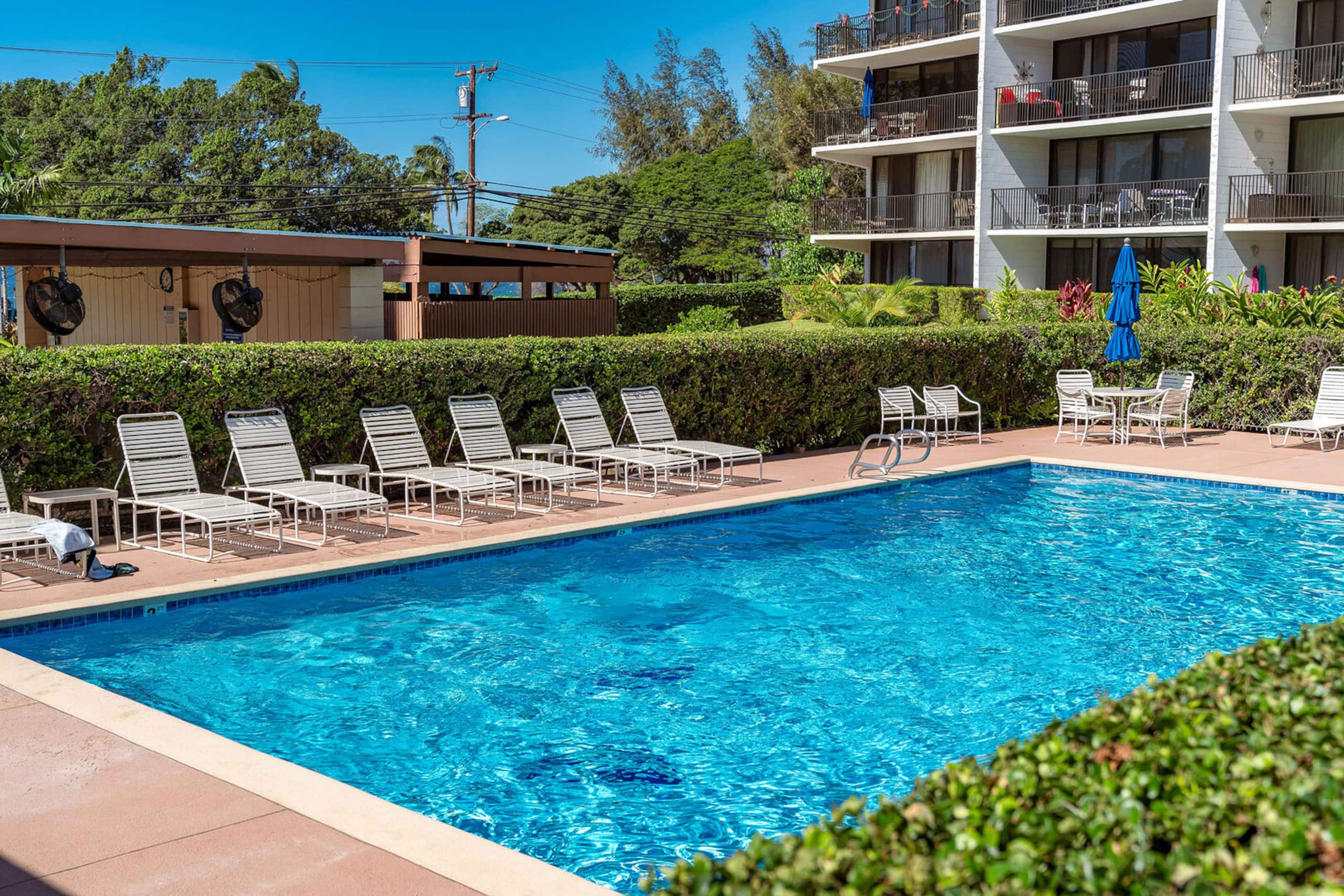 Condo in Kihei · ★4.89 · 2 bedrooms · 3 beds · 2 baths - Image 33