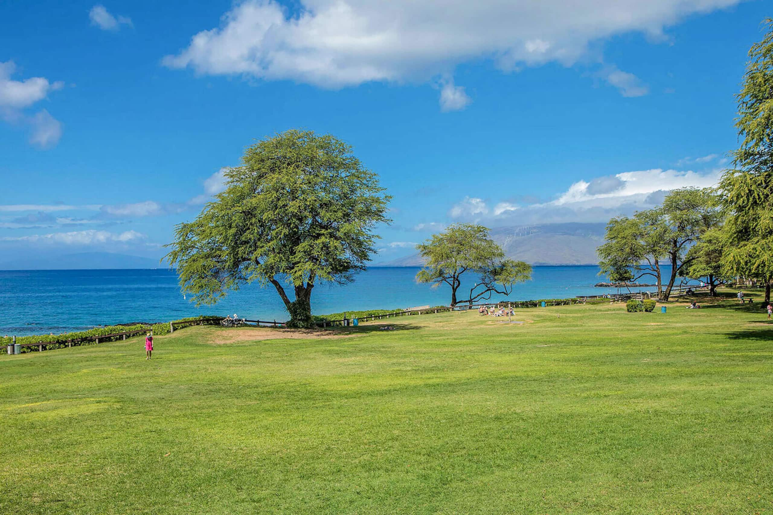 Condo in Kihei · ★4.89 · 2 bedrooms · 3 beds · 2 baths - Image 43