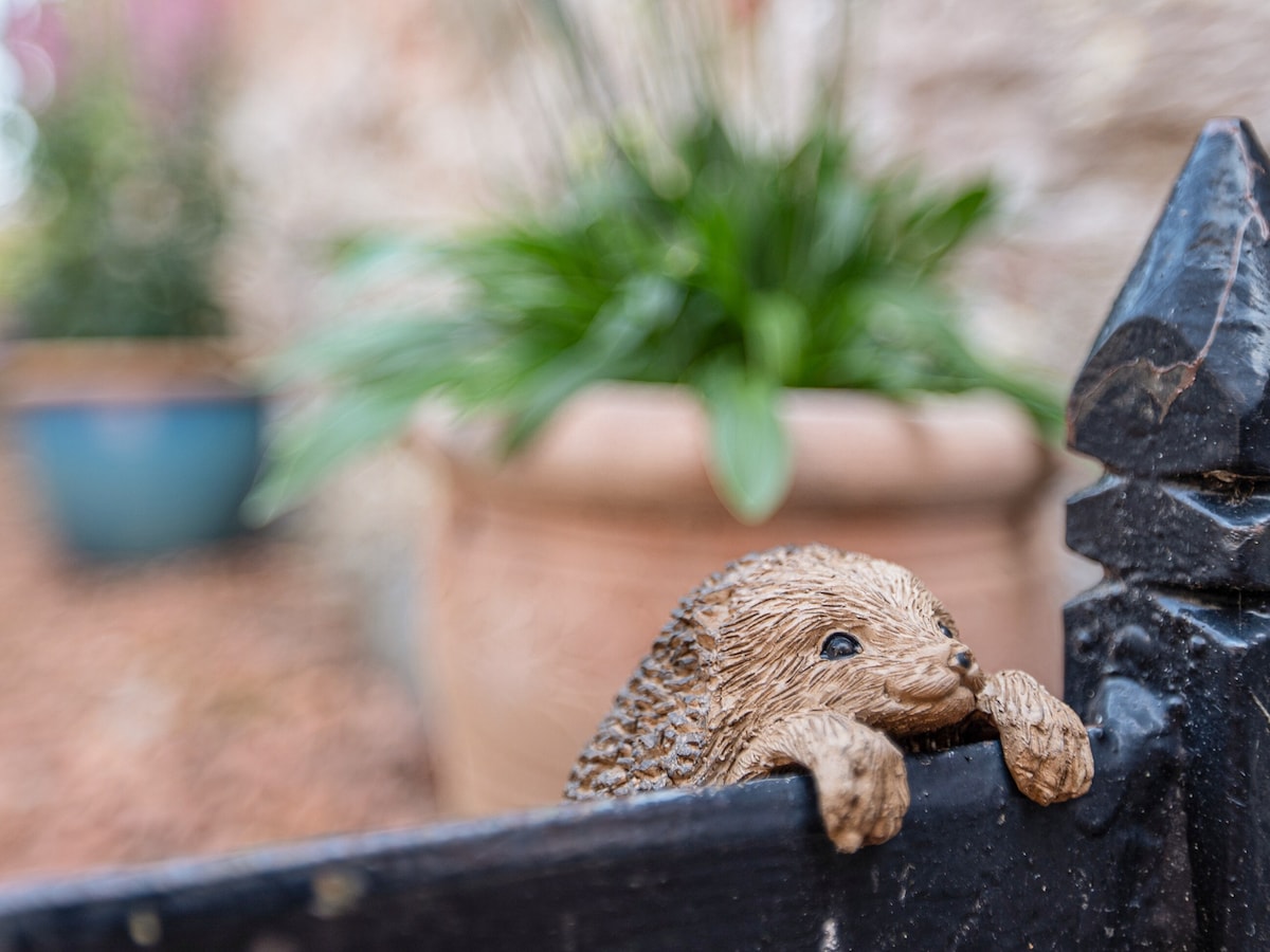 A charming decorative figurine of a hedgehog is positioned atop a low black gate. In the background, blurred greenery and terracotta pots softly enhance the garden setting, creating an inviting outdoor atmosphere.