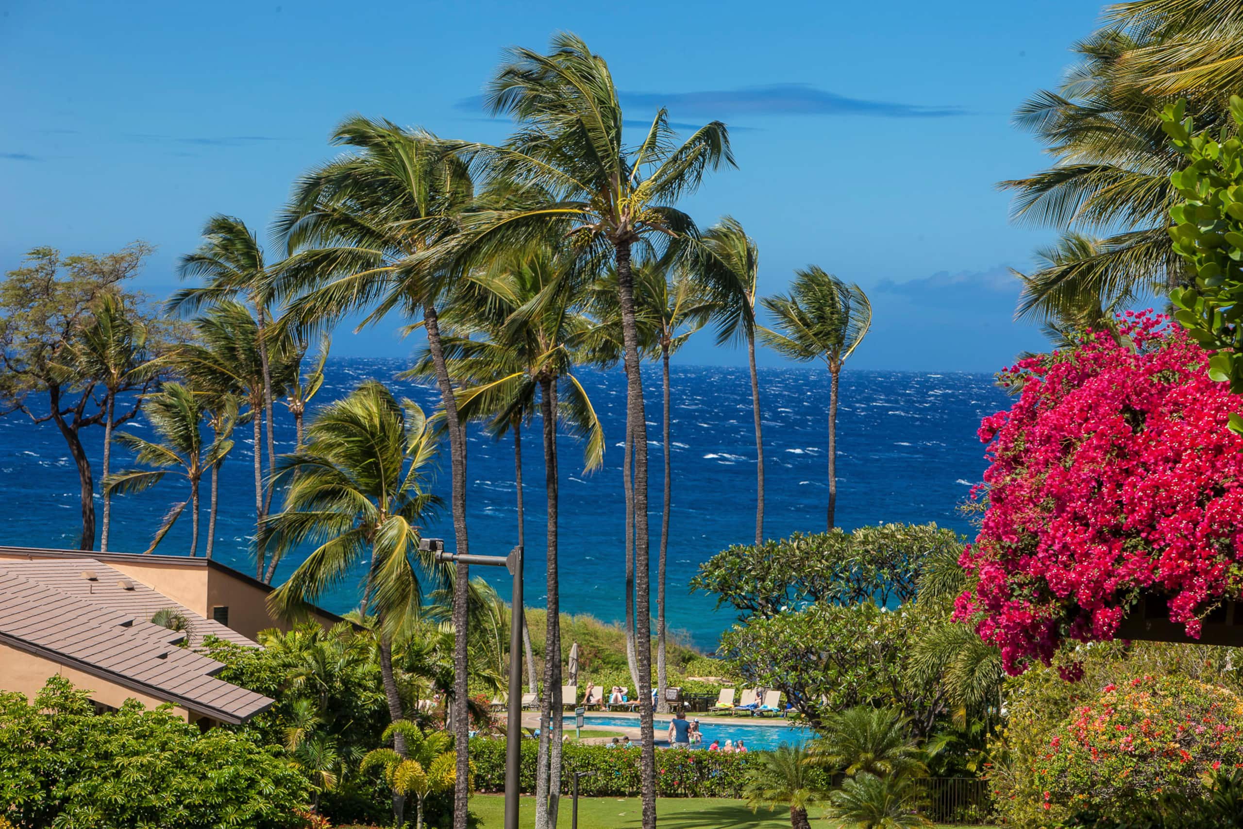 Condo in Kihei · ★4.96 · 1 bedroom · 2 beds · 2 baths - Image 5