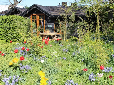 Bluebell Cottage - 27635