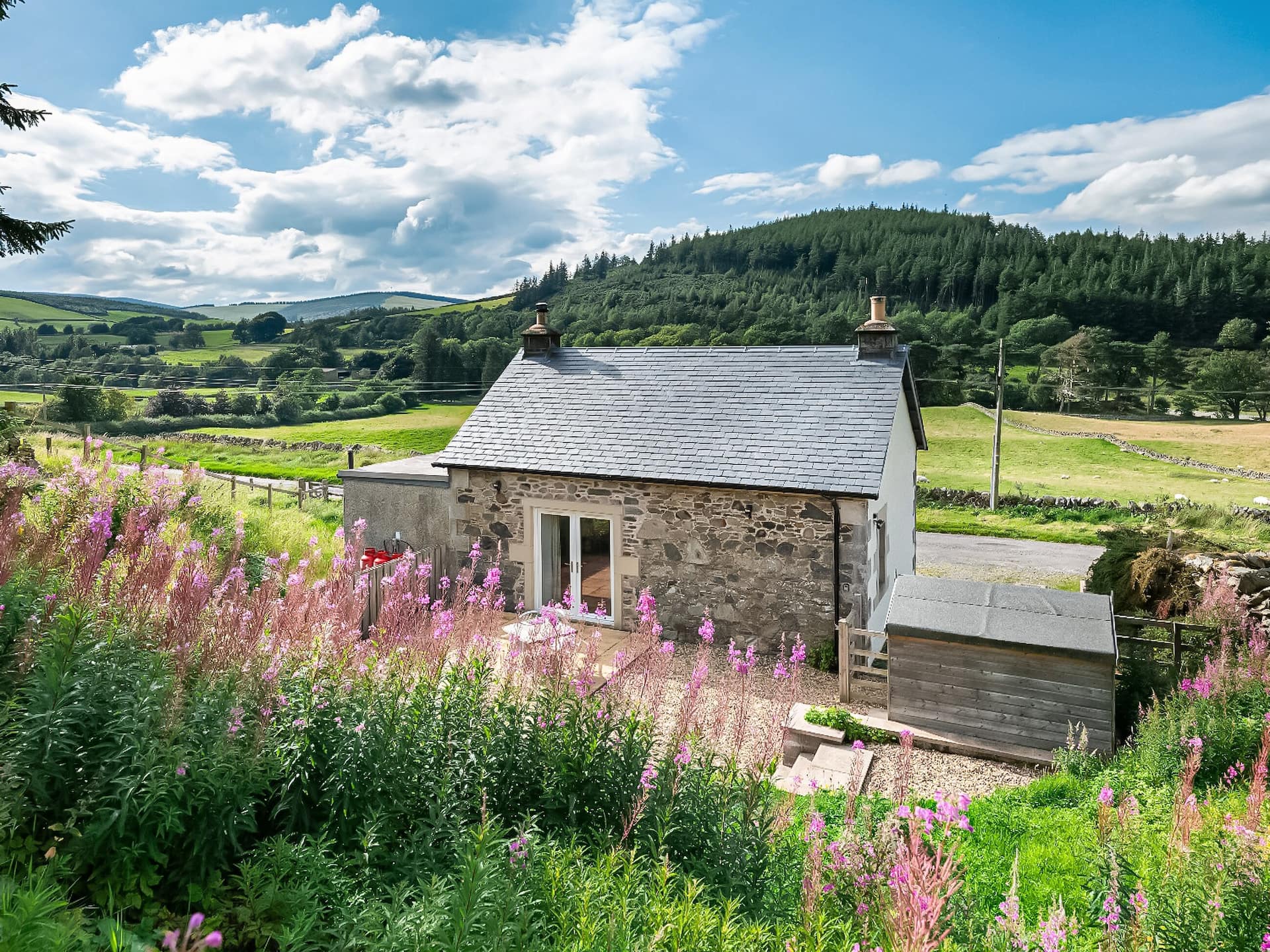 Nettlebush Cottage-Uk5629