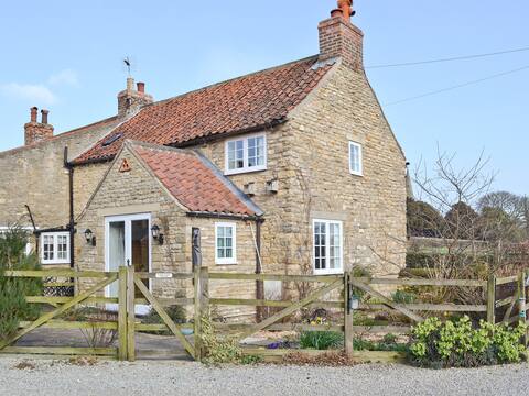 Dragon Fly Cottage