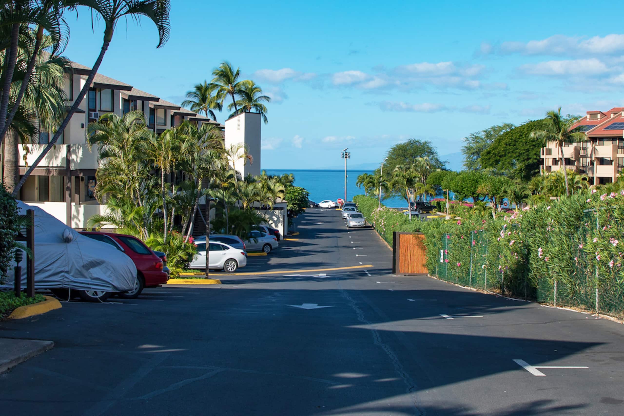 Condo in Kihei · ★4.81 · 1 bedroom · 3 beds · 1 shared bath - Image 24