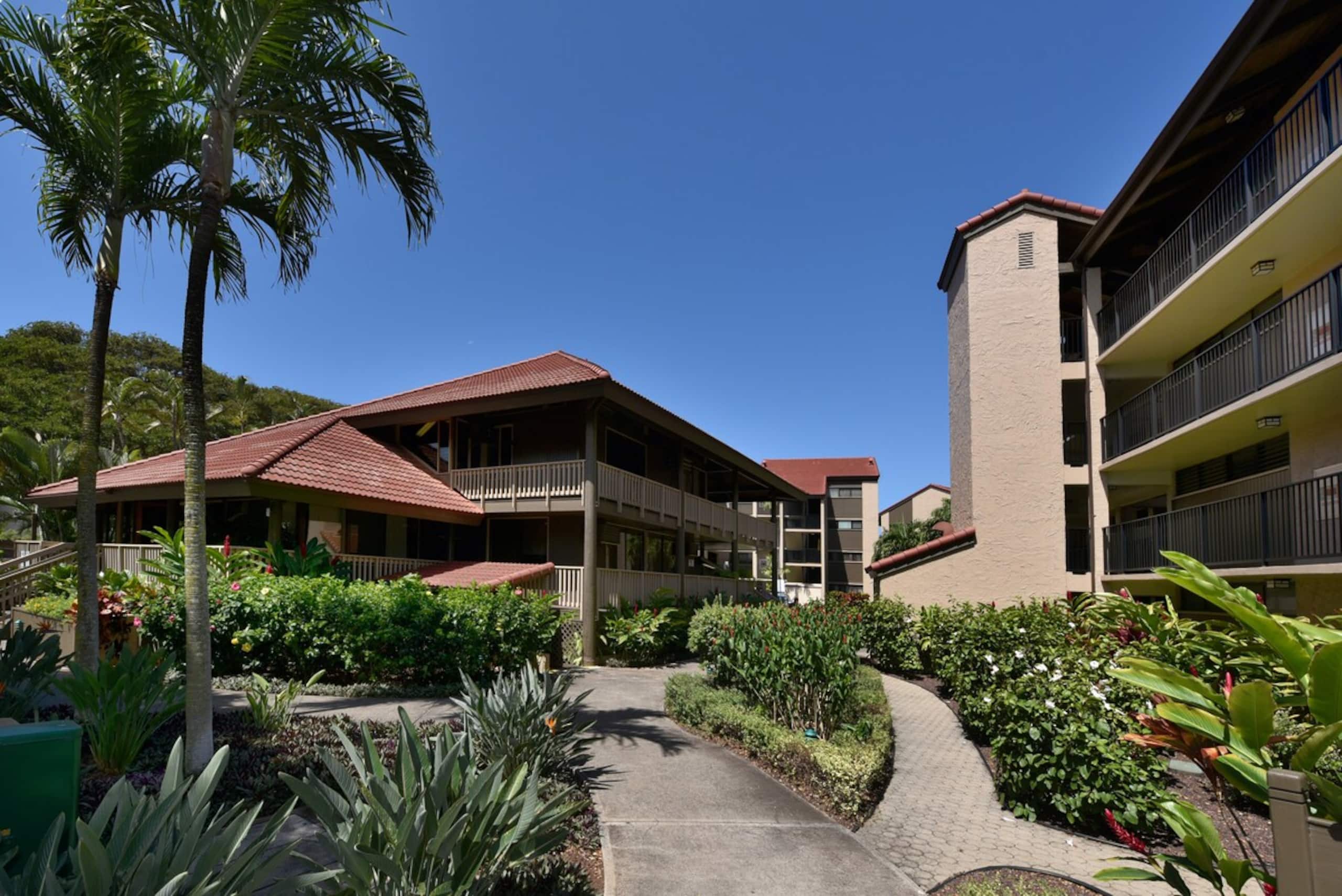 Condo in Lahaina · ★4.84 · 1 bedroom · 2 beds · 1 bath - Image 45