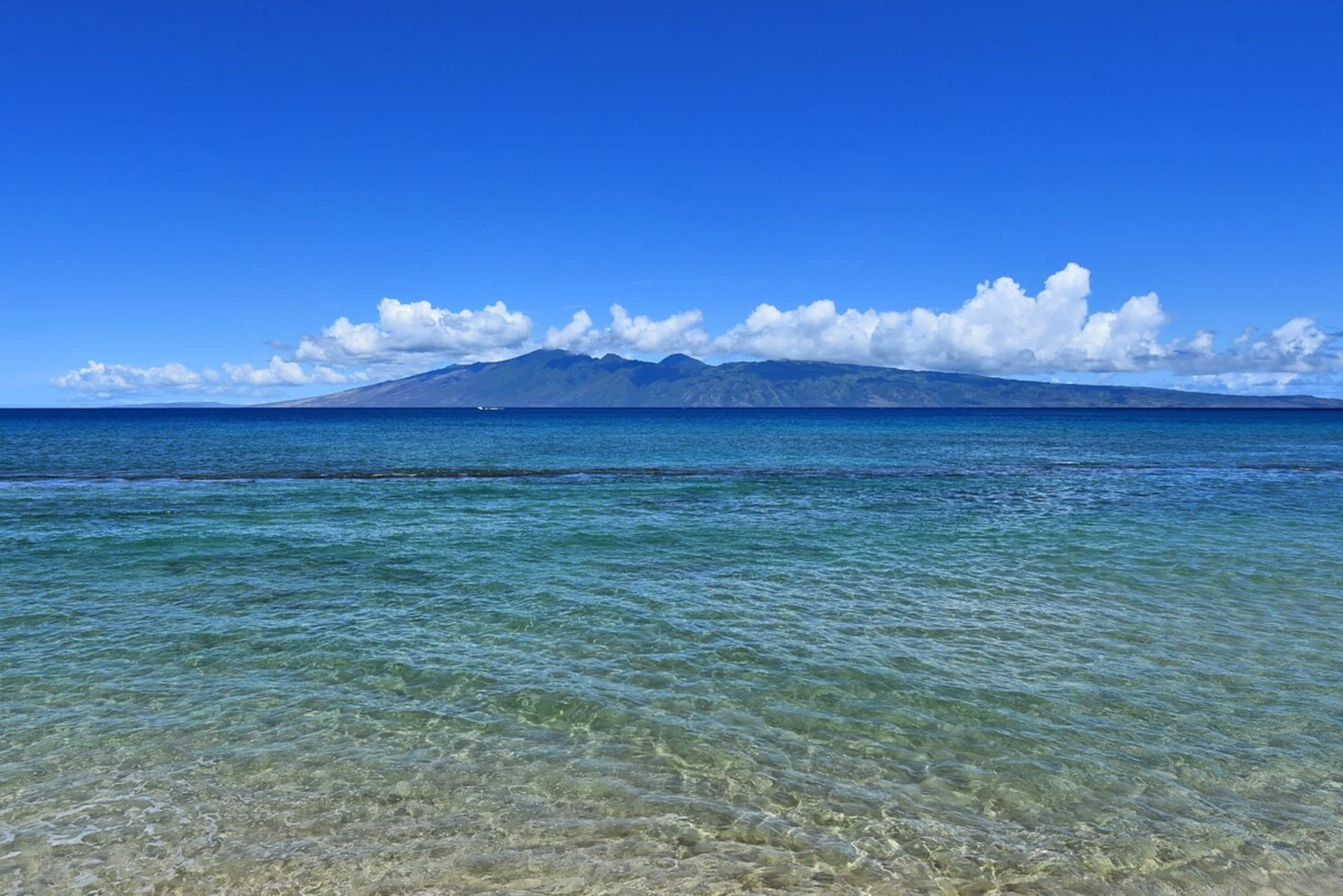 Condo in Lahaina · ★4.84 · 1 bedroom · 2 beds · 1 bath - Image 81