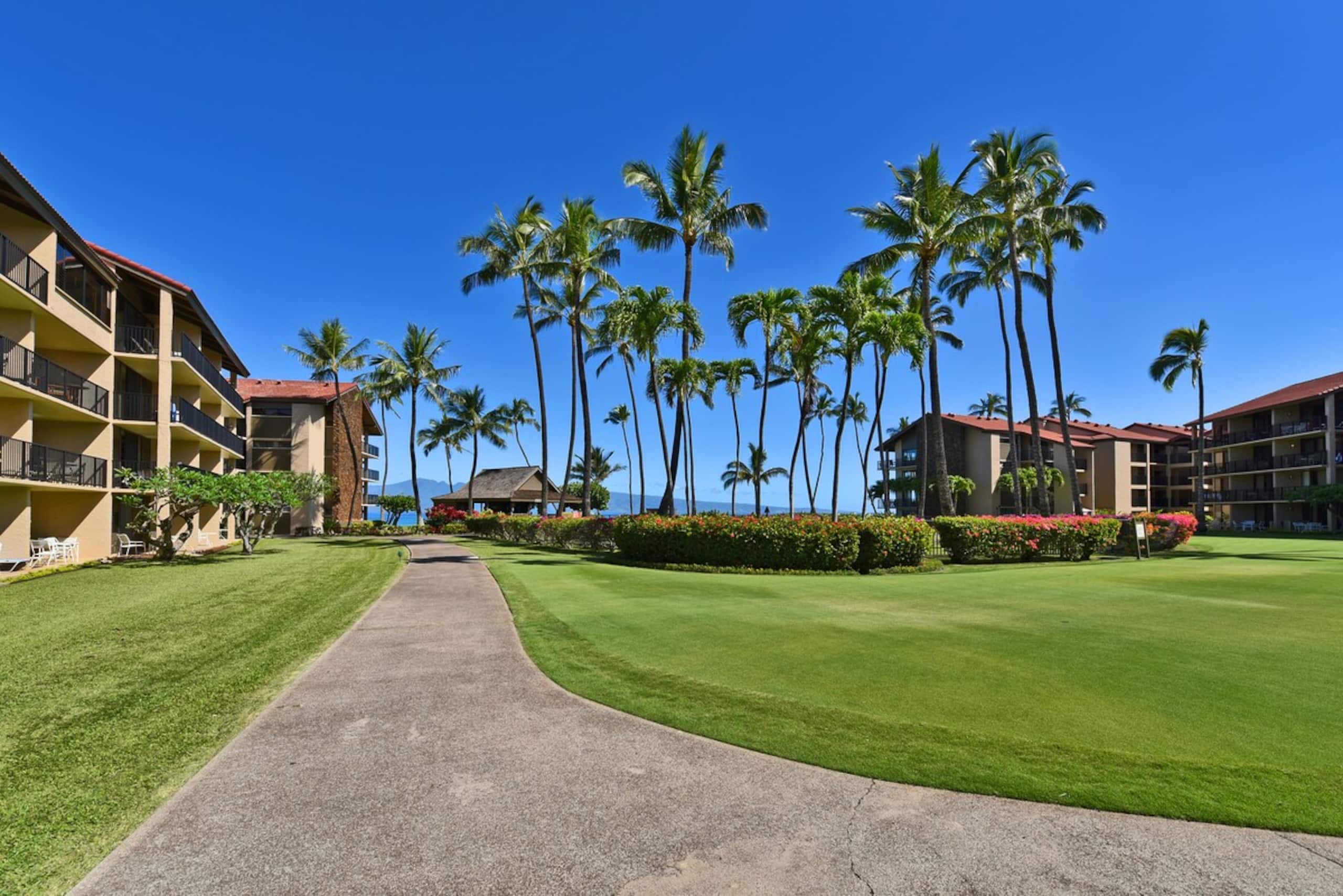 Condo in Lahaina · ★4.84 · 1 bedroom · 2 beds · 1 bath - Image 73