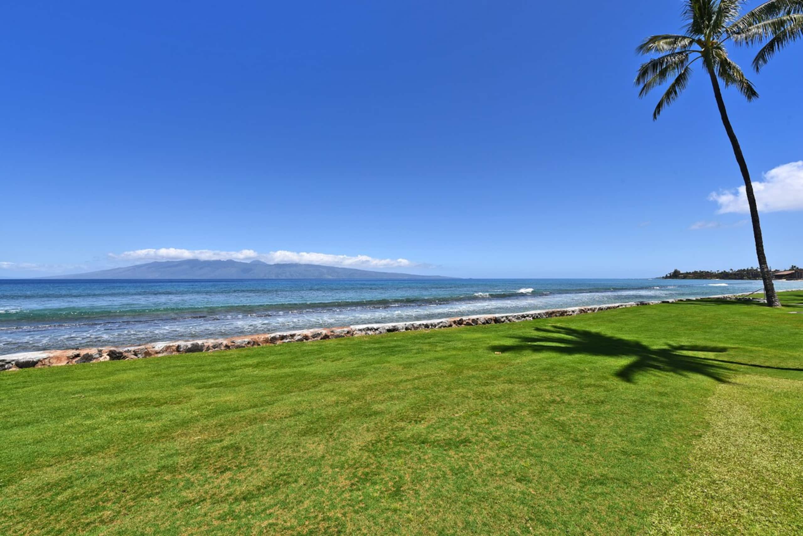 Condo in Lahaina · ★4.84 · 1 bedroom · 2 beds · 1 bath - Image 69